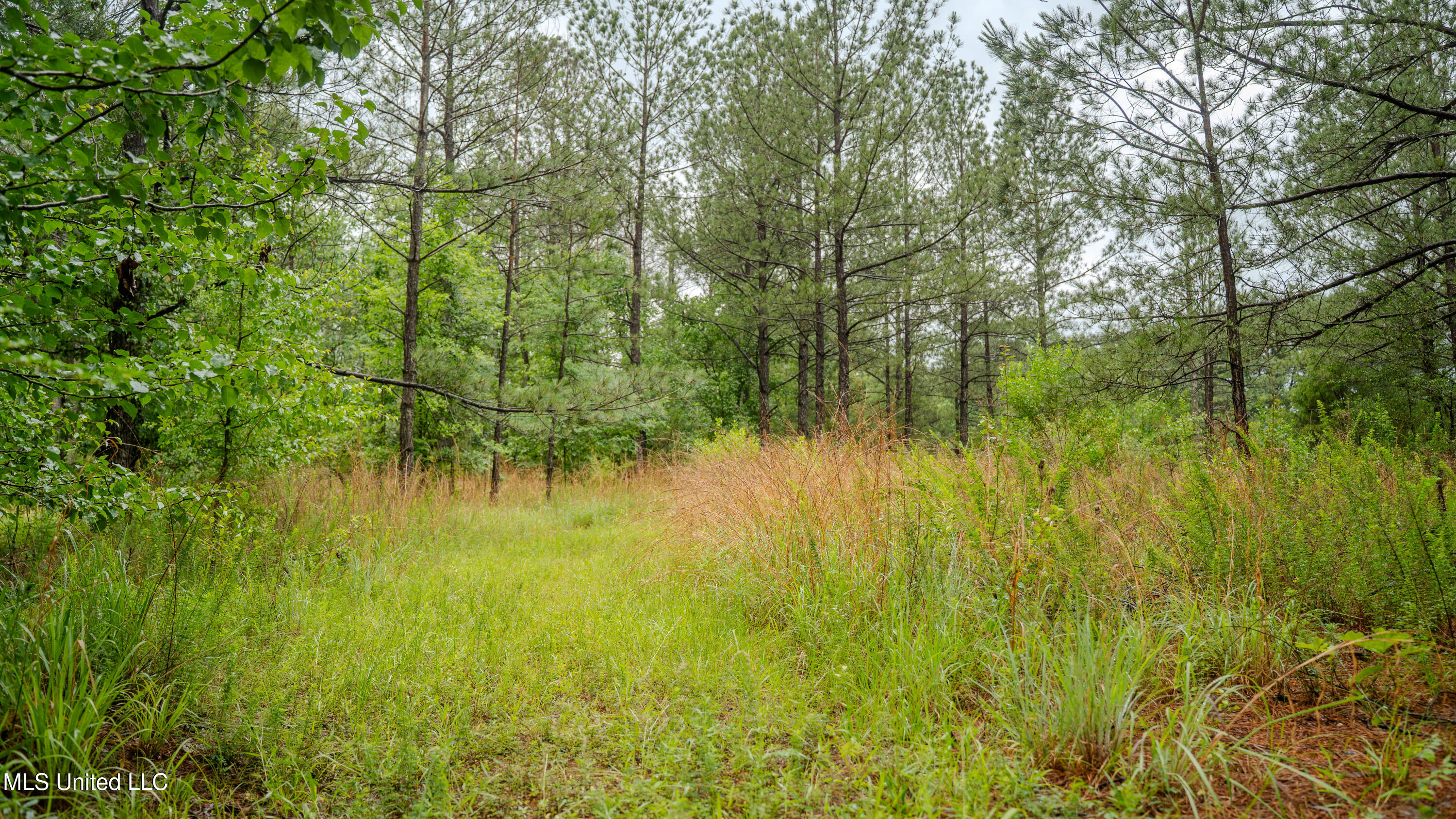 0000 Henderson Road, Jackson, Mississippi image 1