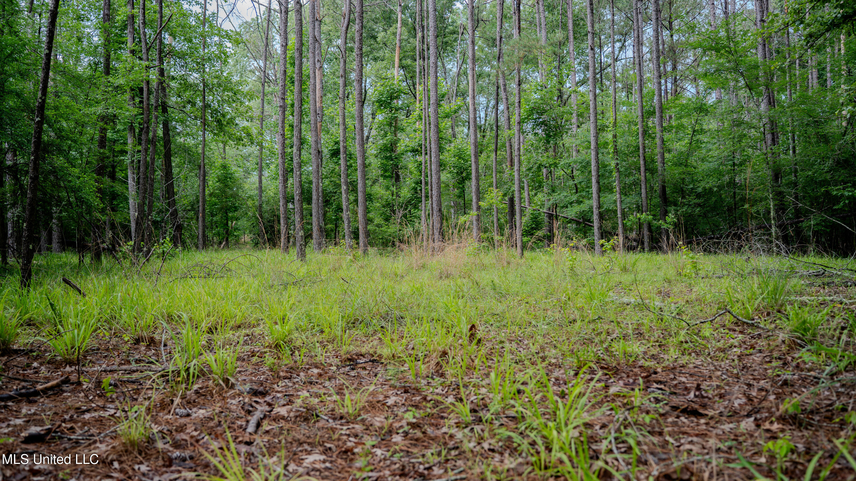 0000 Henderson Road, Jackson, Mississippi image 32