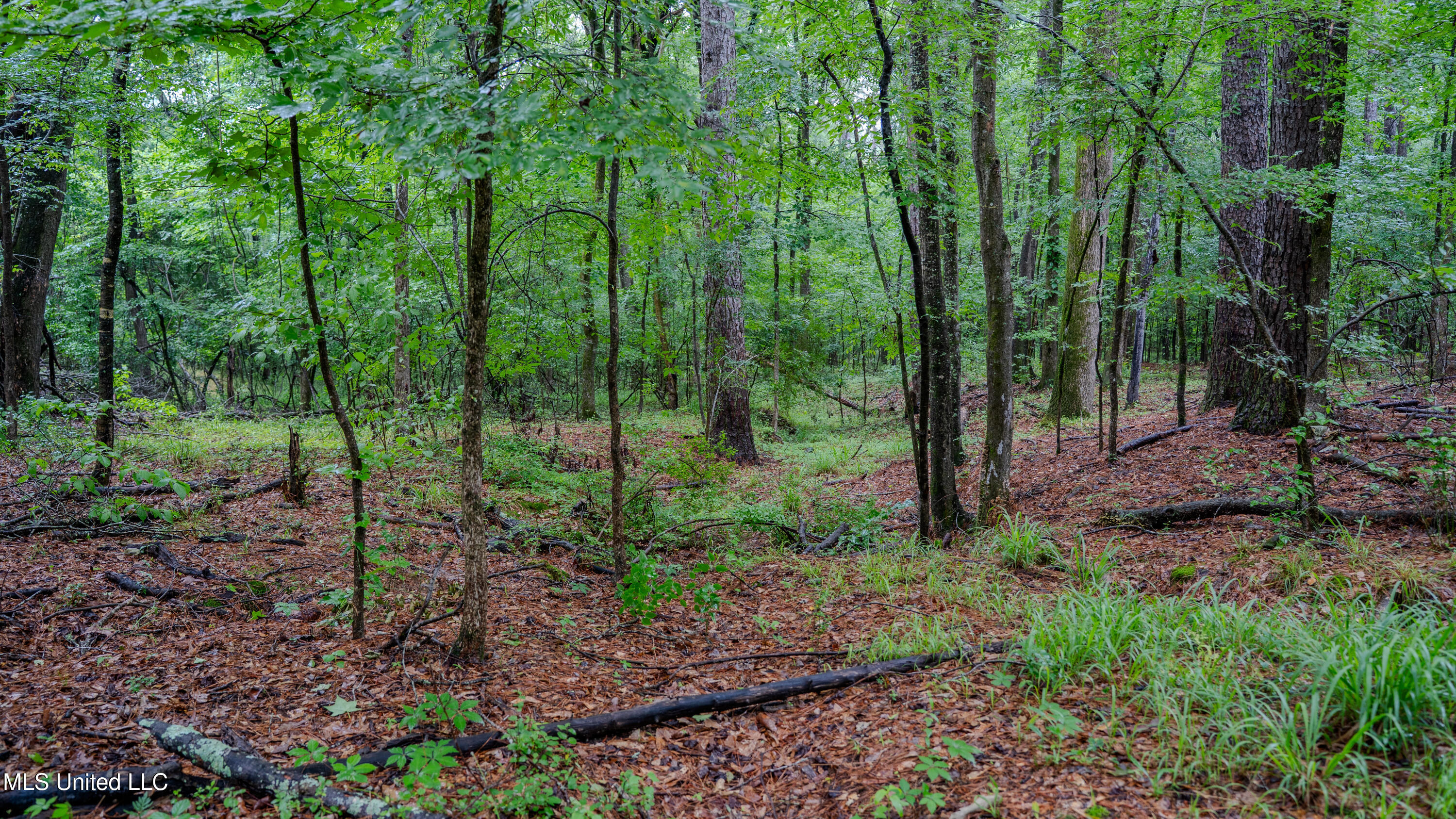 0000 Henderson Road, Jackson, Mississippi image 7