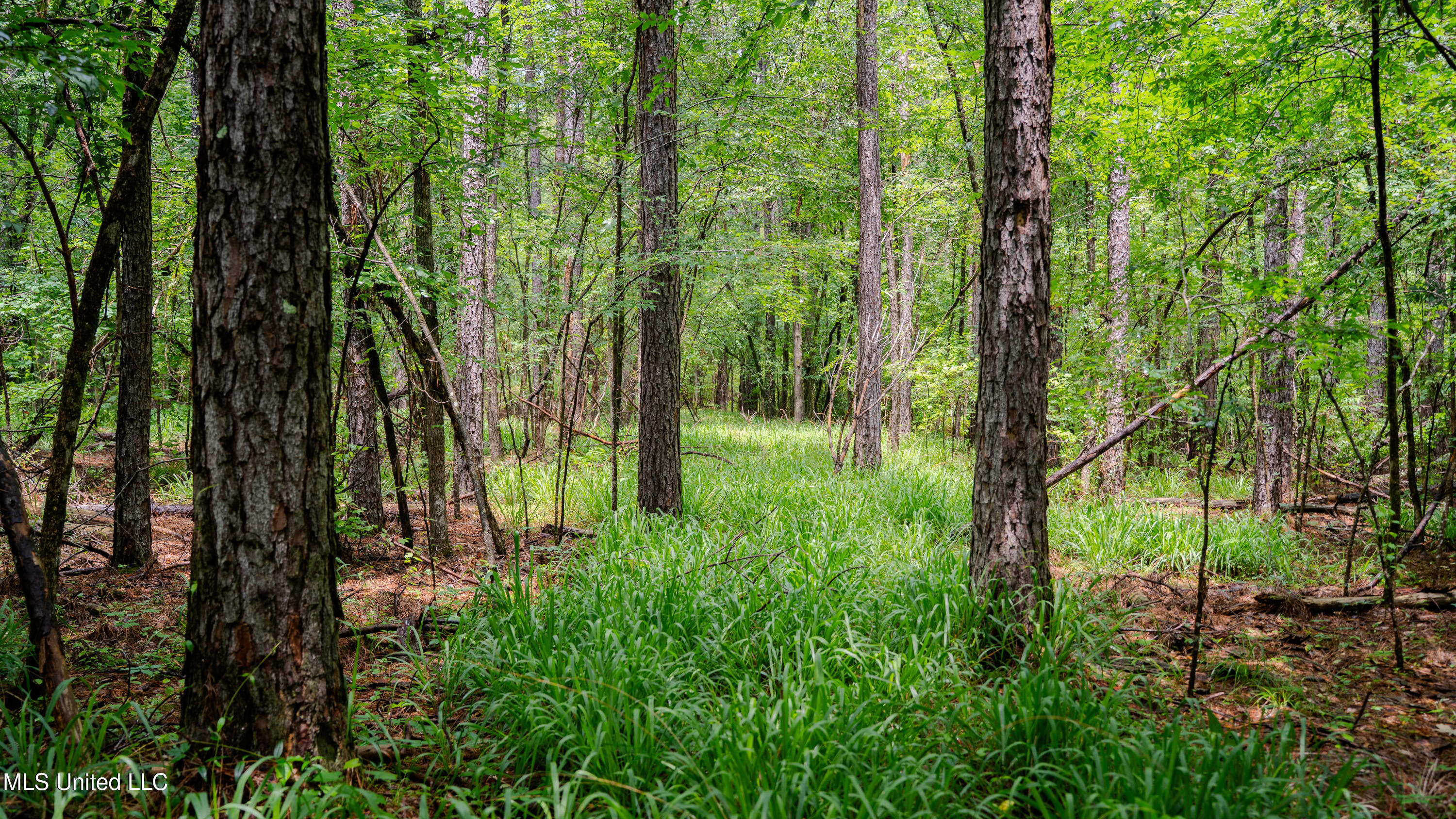 0000 Henderson Road, Jackson, Mississippi image 16