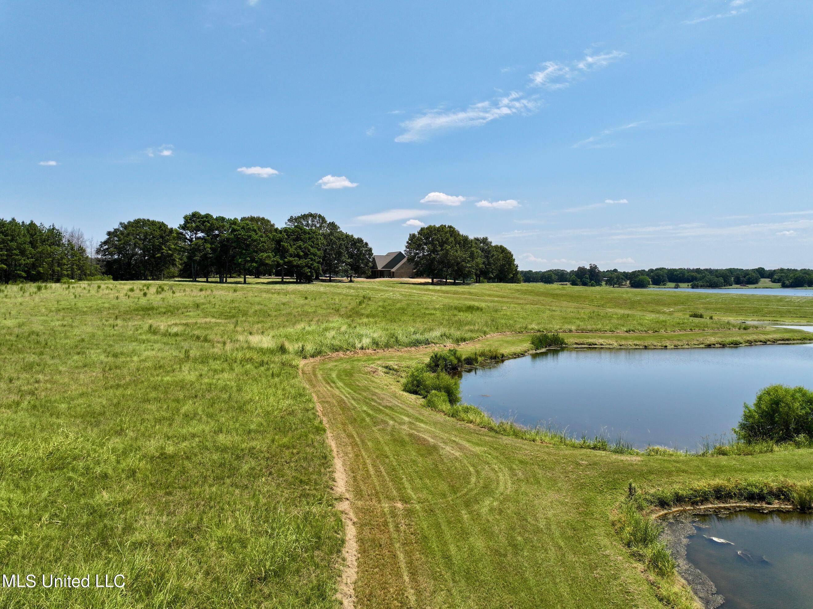 Cedar Hill Rd, Flora, Mississippi image 14