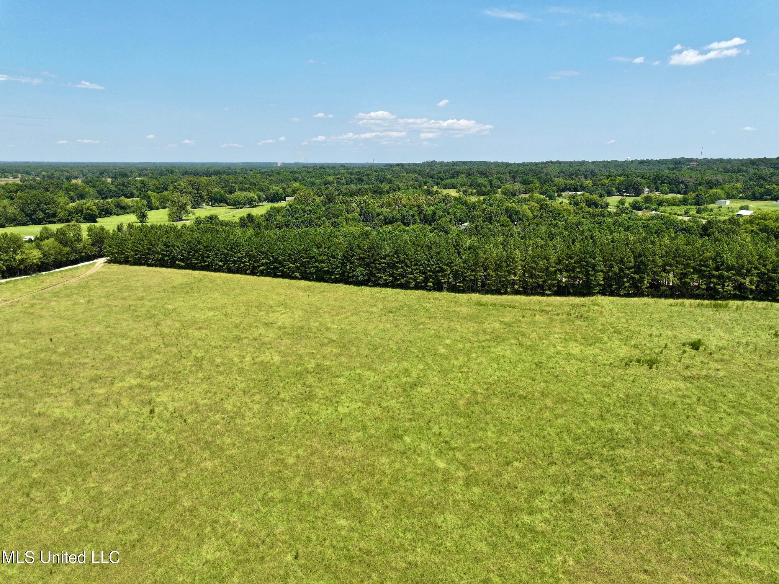 Cedar Hill Rd, Flora, Mississippi image 7