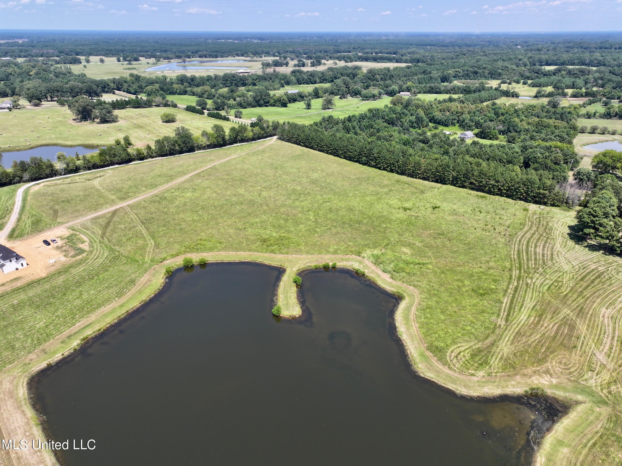 Cedar Hill Rd, Flora, Mississippi image 9