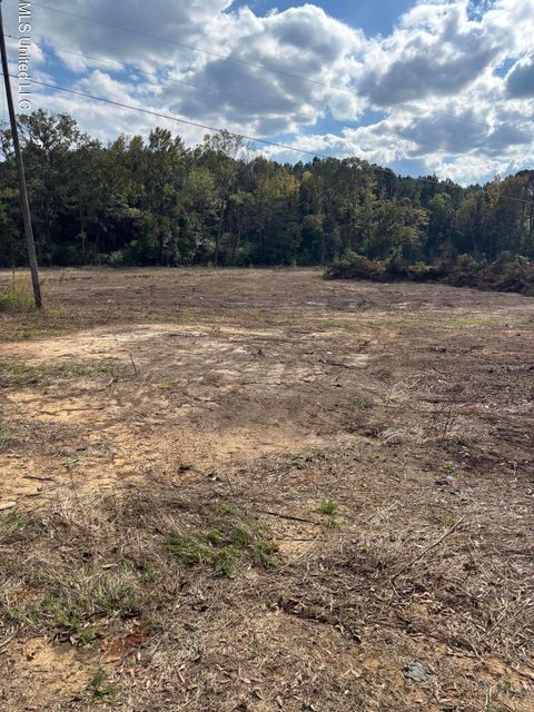 Vacant Land For Sale - Country Lane<br/> Philadelphia, MS 39350