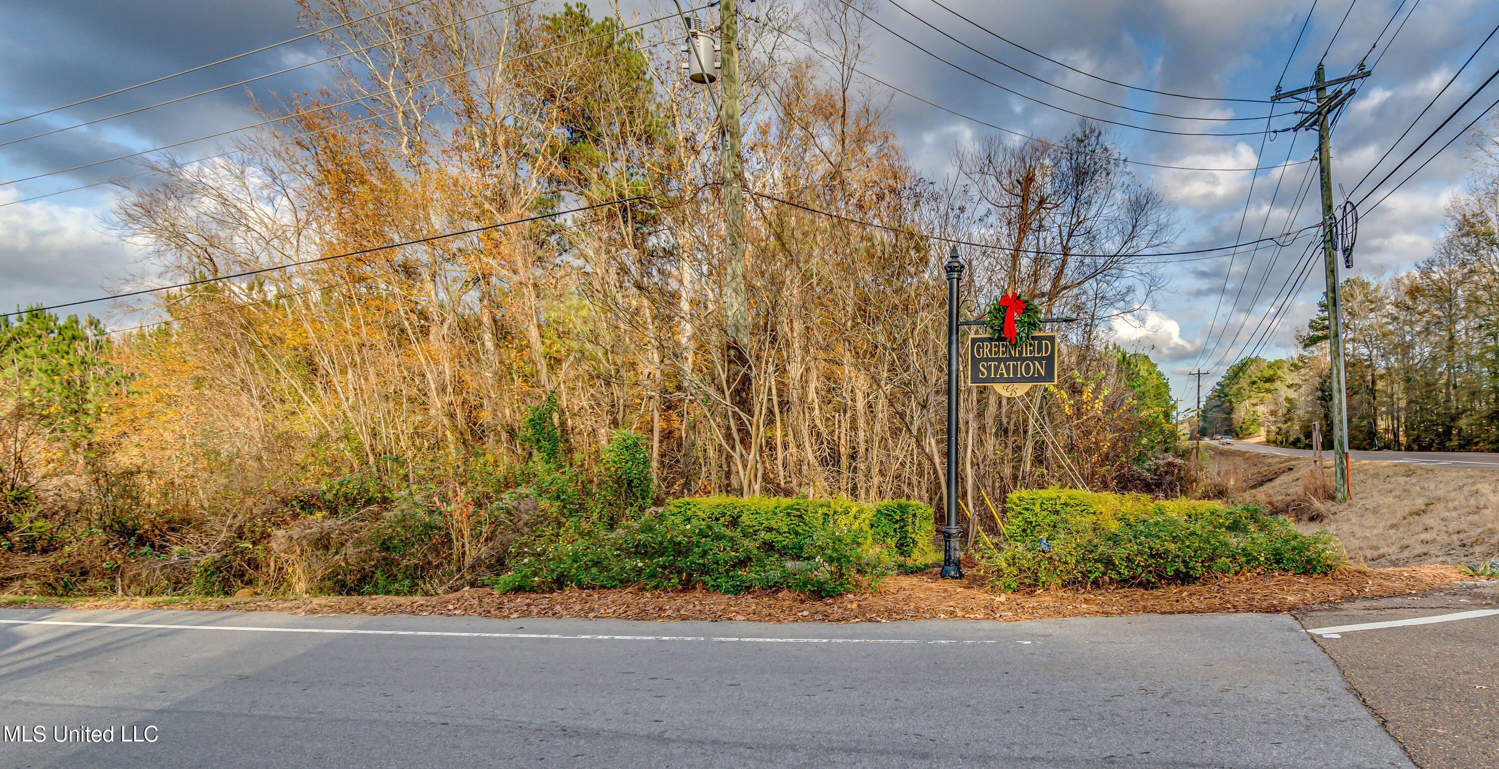 238 Greenfield Ridge Drive, Brandon, Mississippi image 47