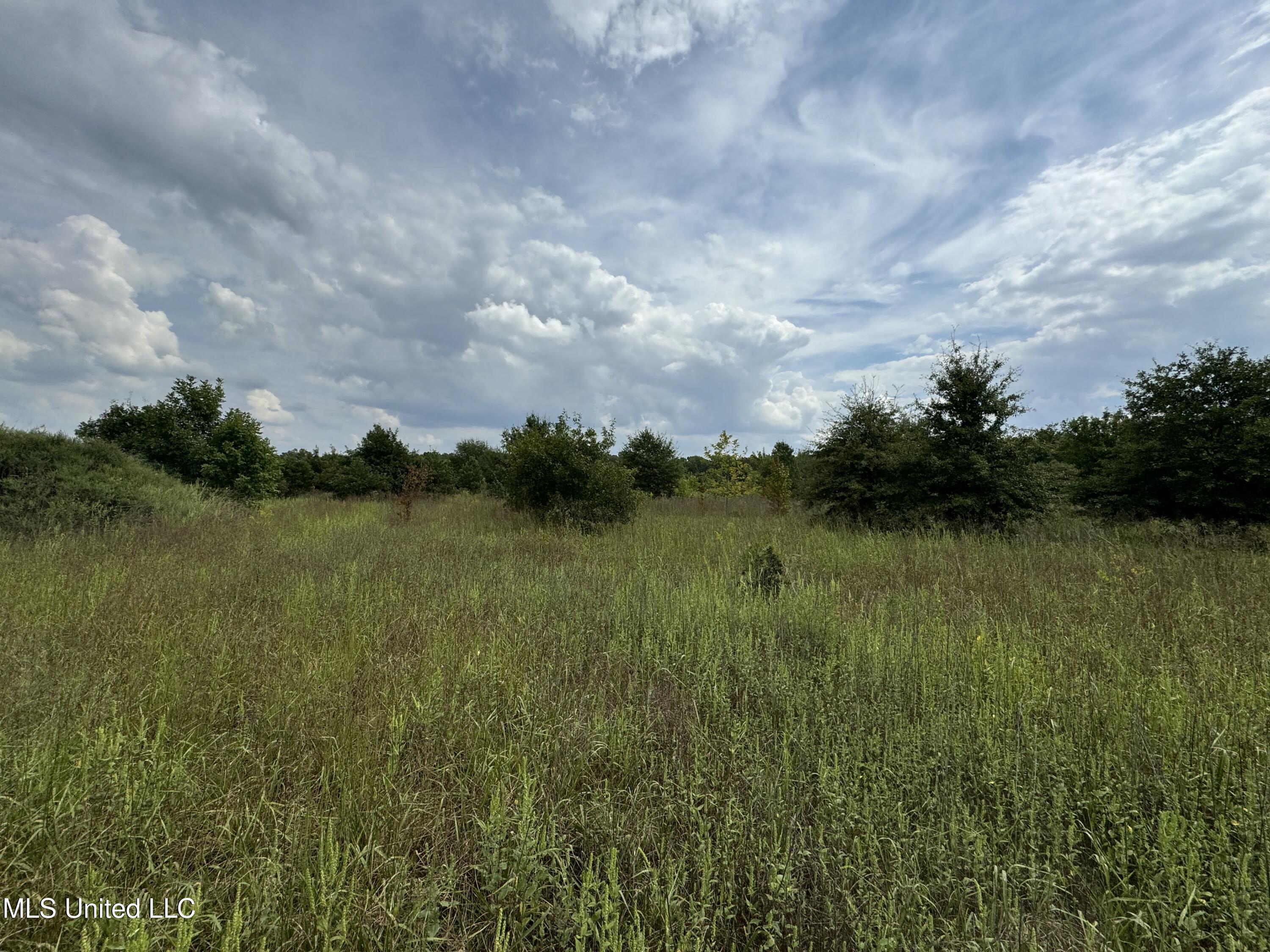 360 Fox Road, Shaw, Mississippi image 12