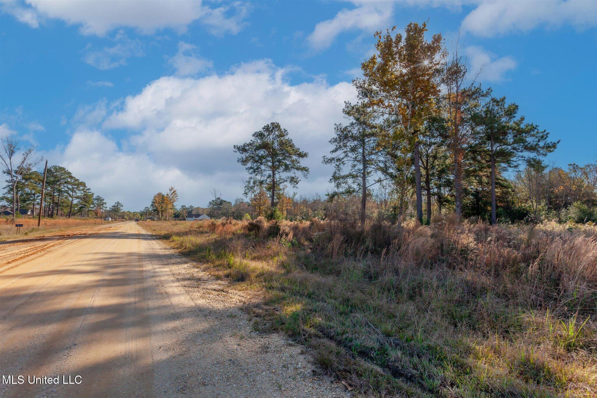 58 Boaz Place, Picayune, Mississippi image 41