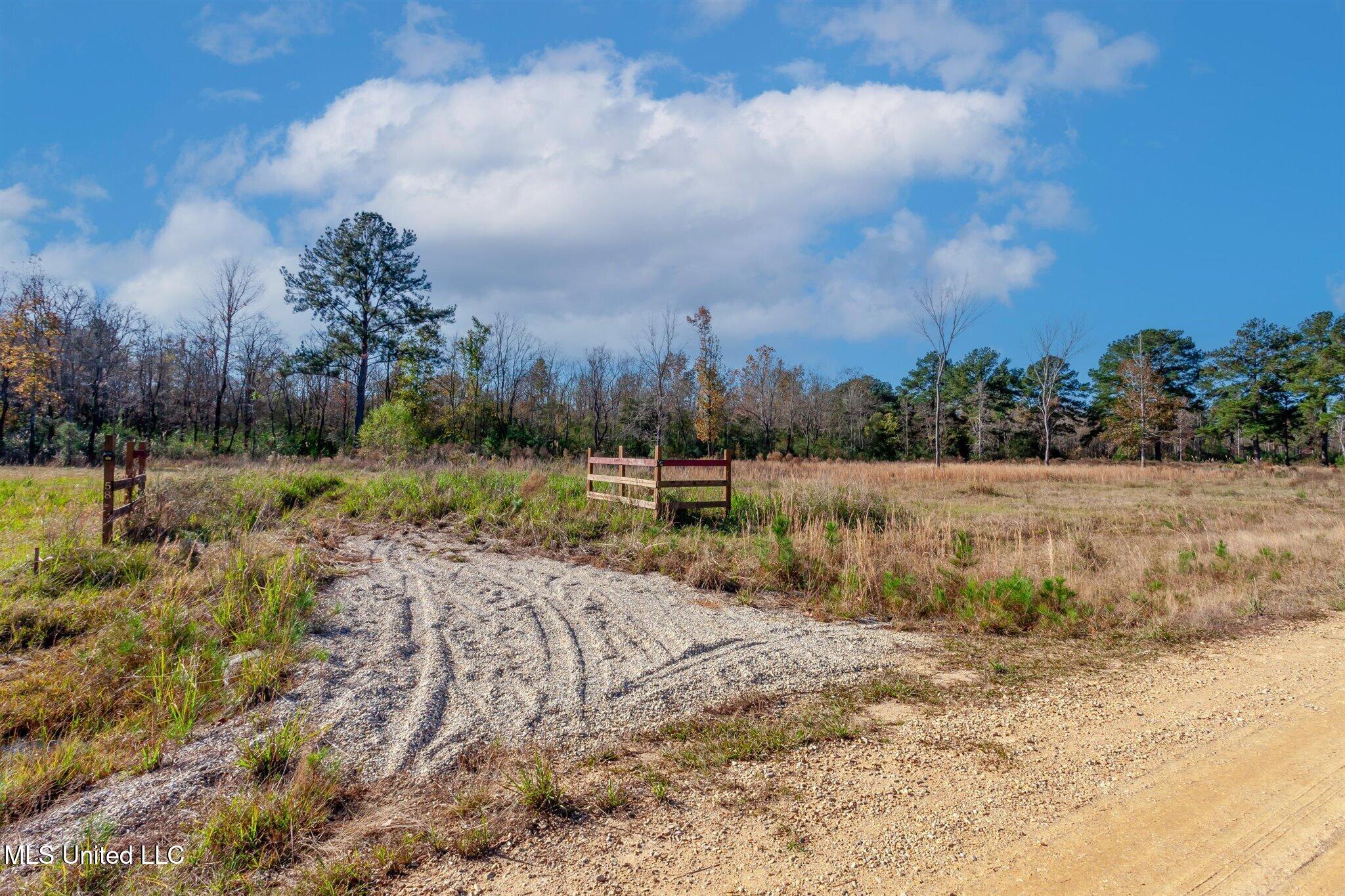 58 Boaz Place, Picayune, Mississippi image 36