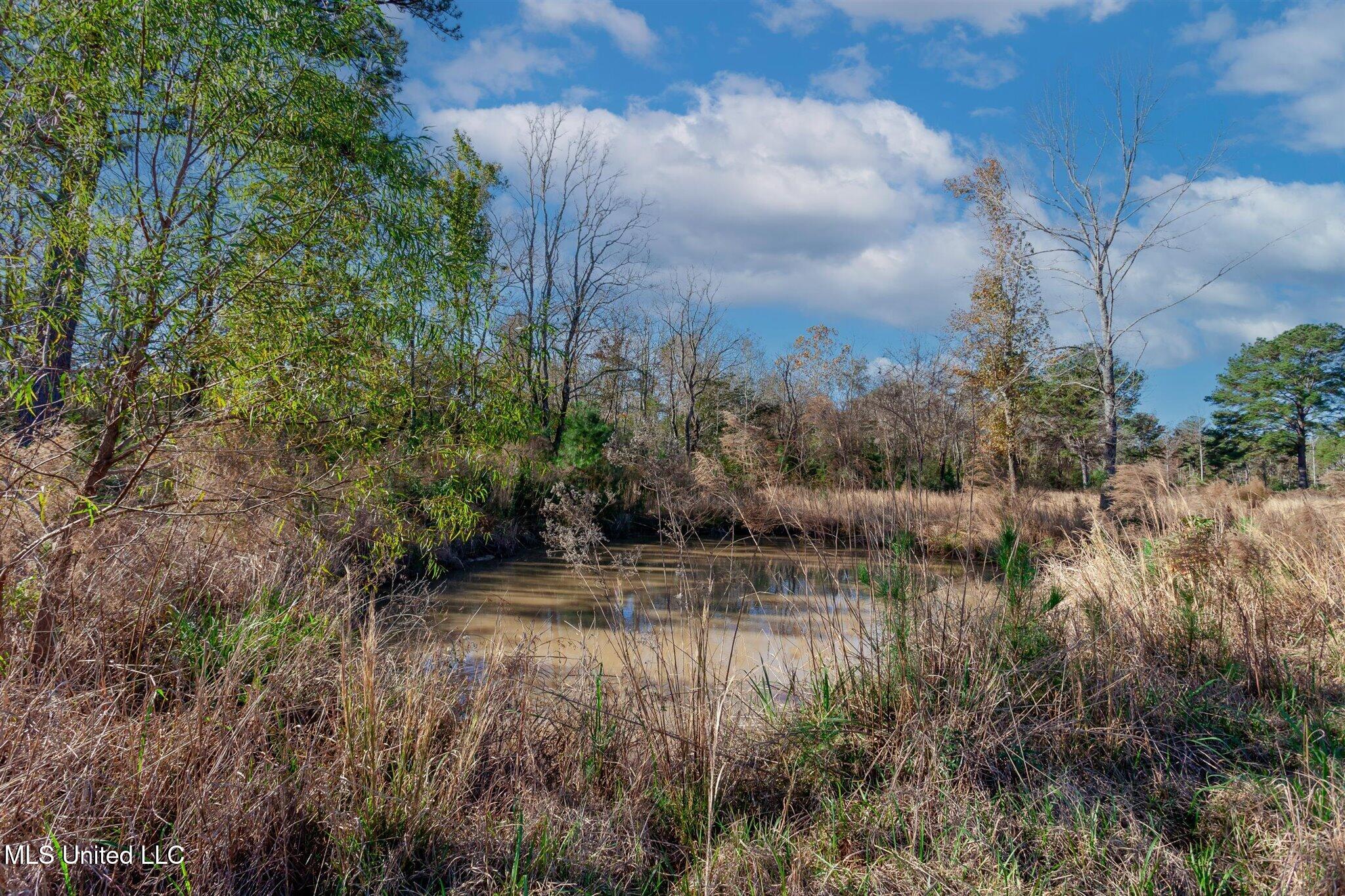 58 Boaz Place, Picayune, Mississippi image 38