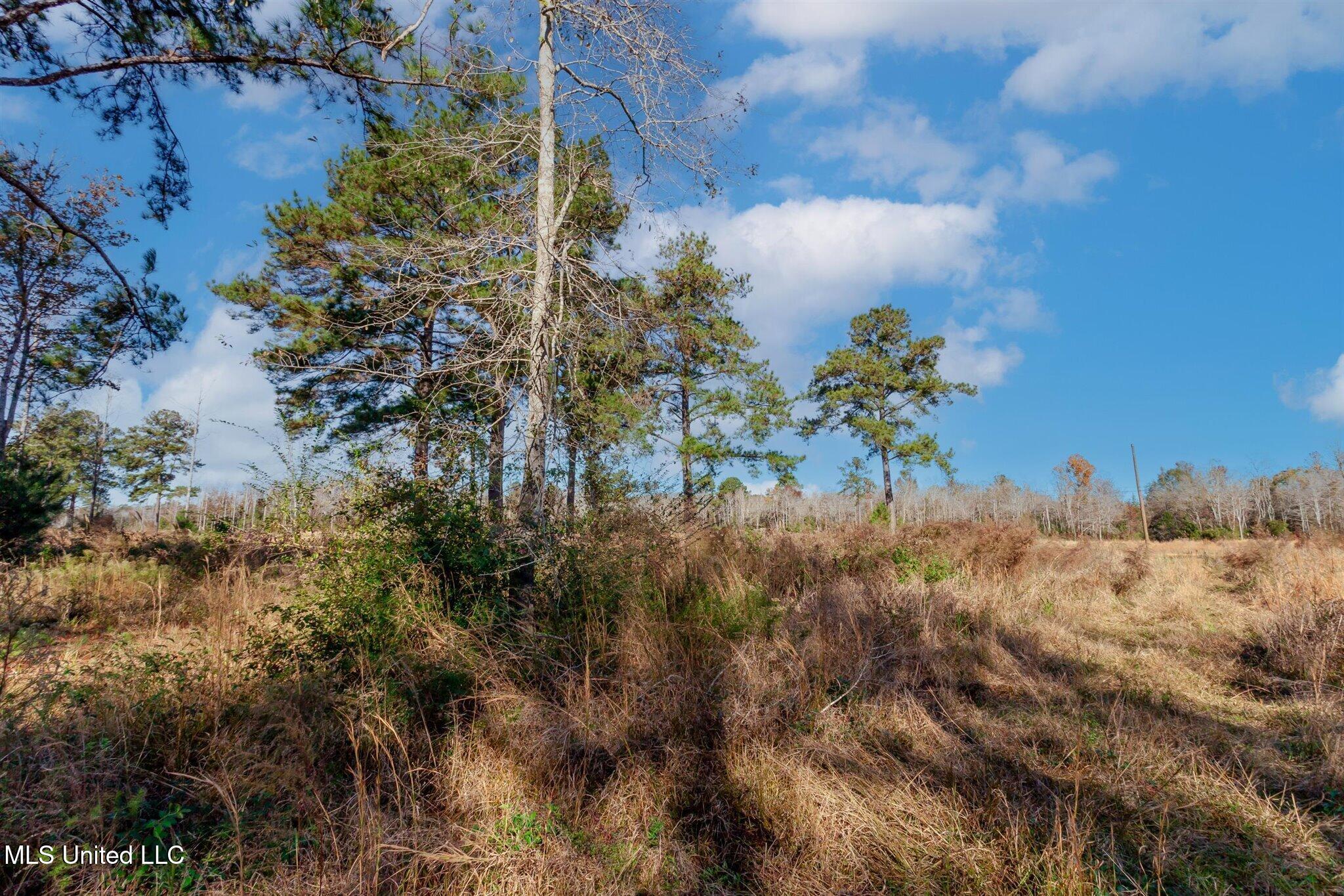 58 Boaz Place, Picayune, Mississippi image 39