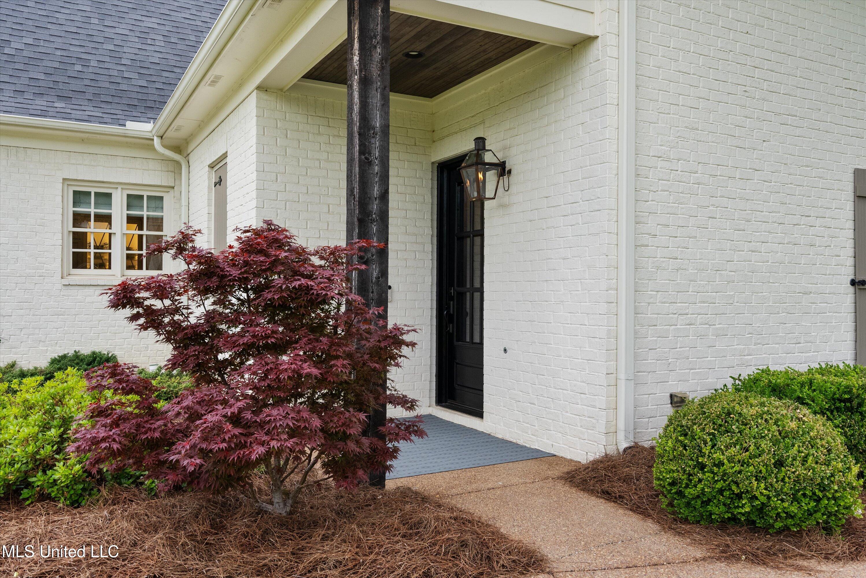 172 Surrey Loop, Byhalia, Mississippi image 9