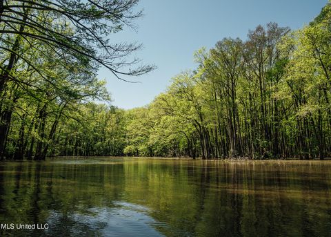 Vacant Land For Sale - County Rd 176<br/> Carroll County, Sidon, MS 38954