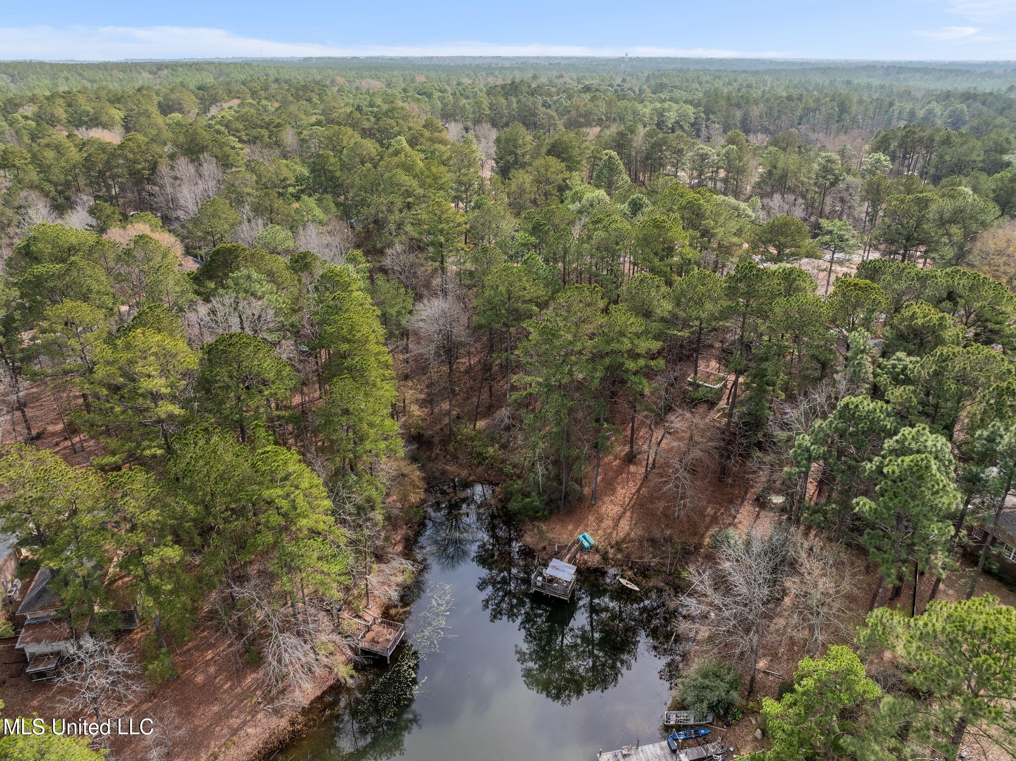 101 Heartwood, Petal, Mississippi image 9