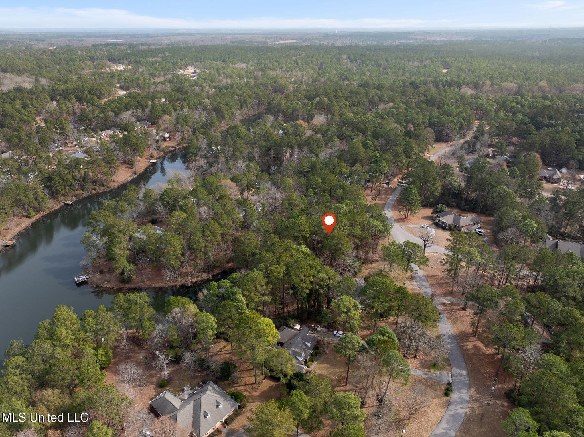 101 Heartwood, Petal, Mississippi image 17