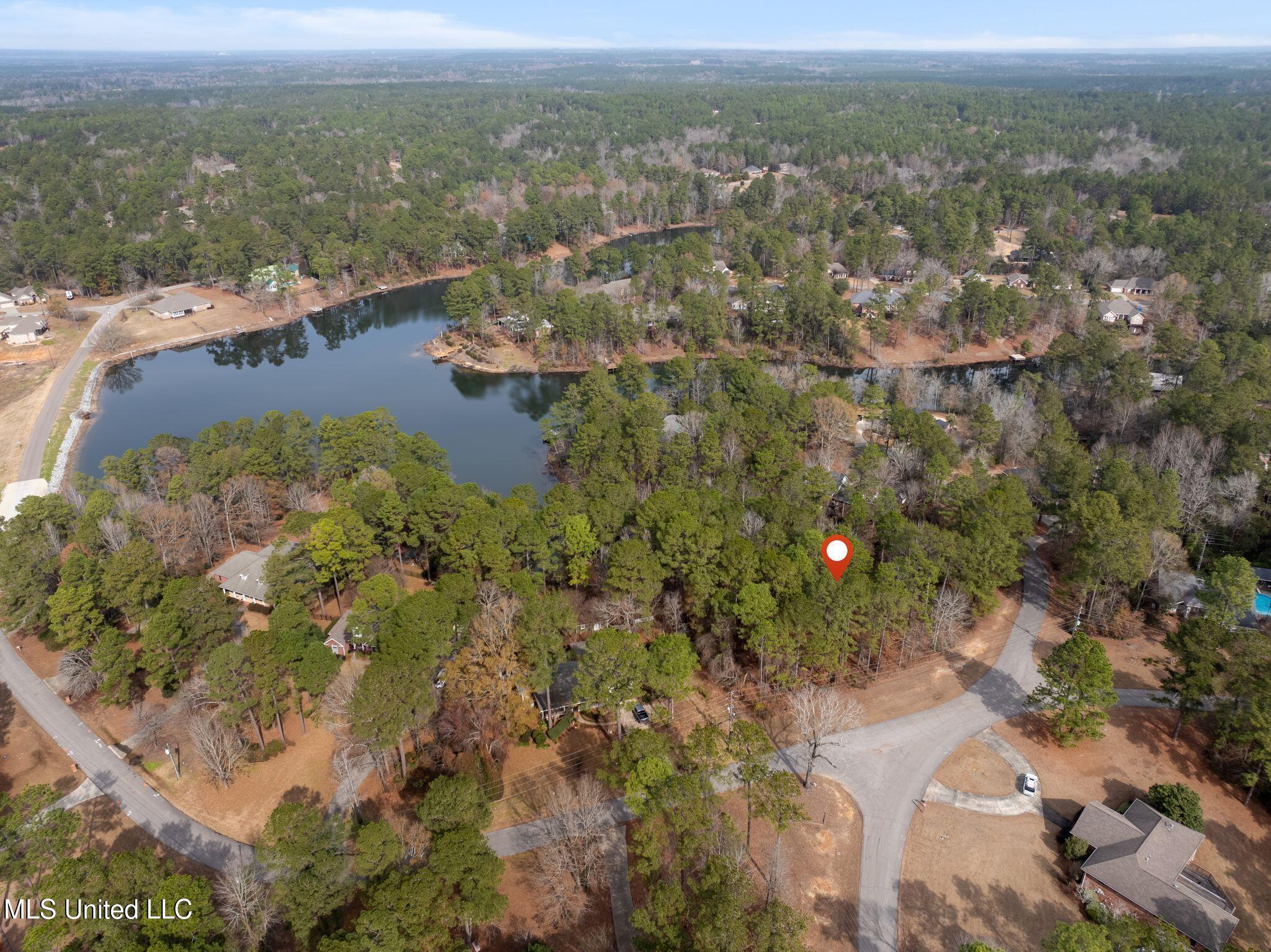 101 Heartwood, Petal, Mississippi image 15