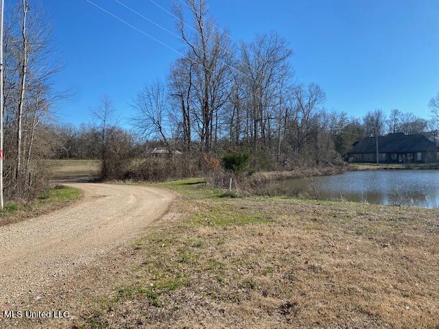 Cripple Creek Road, Canton, Mississippi image 15