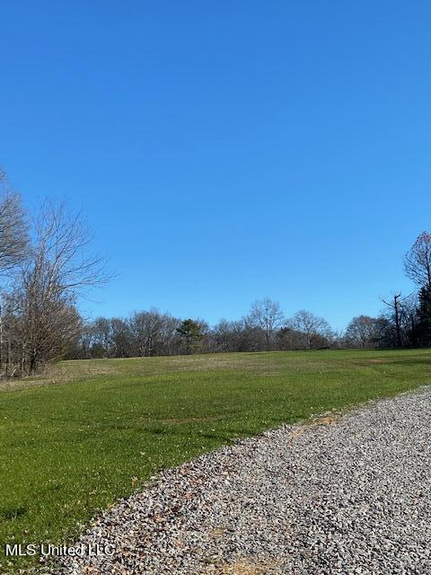 Cripple Creek Road, Canton, Mississippi image 8