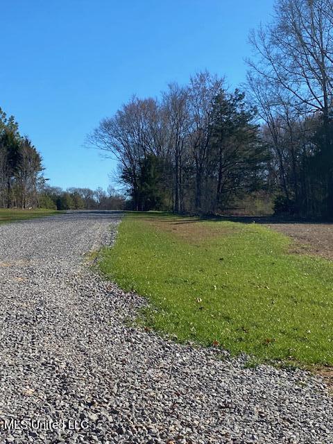 Cripple Creek Road, Canton, Mississippi image 9