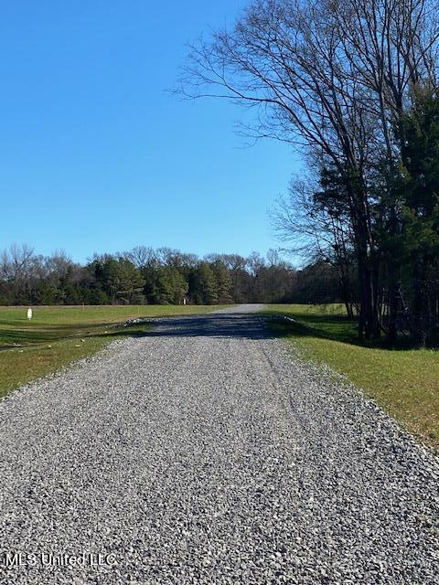 Cripple Creek Road, Canton, Mississippi image 7