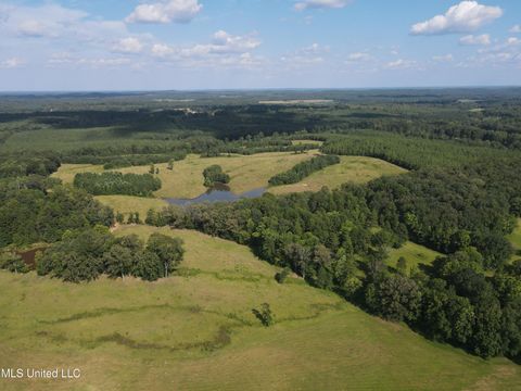 Vacant Land For Sale - County Road 233<br/> Water Valley, MS 38965