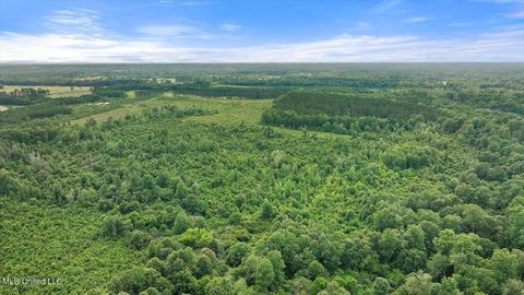 Vacant Land For Sale - Scr 73-a<br/> Mize, MS 39116