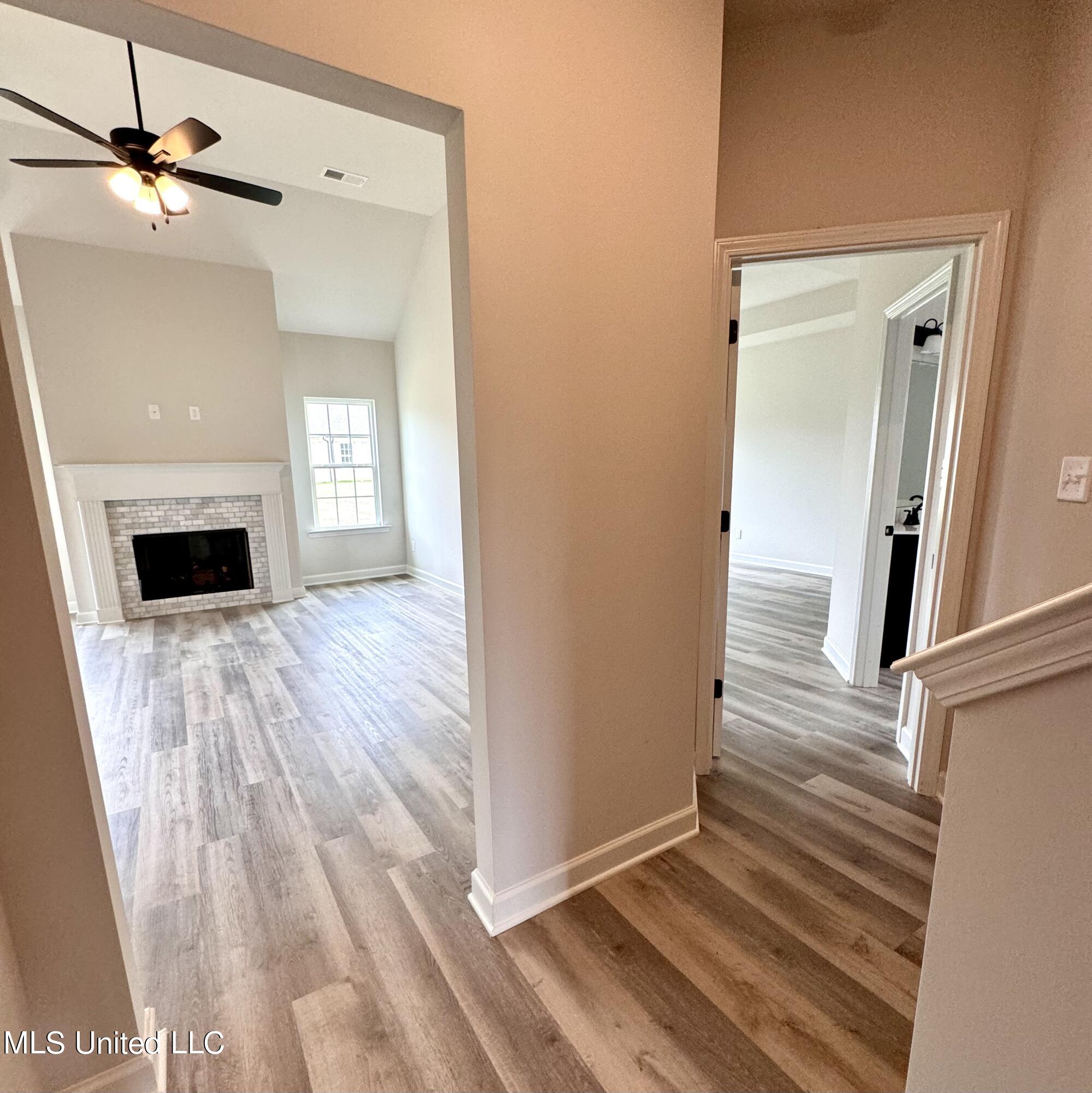 8921 Tucker Lane, Southaven, Mississippi image 19