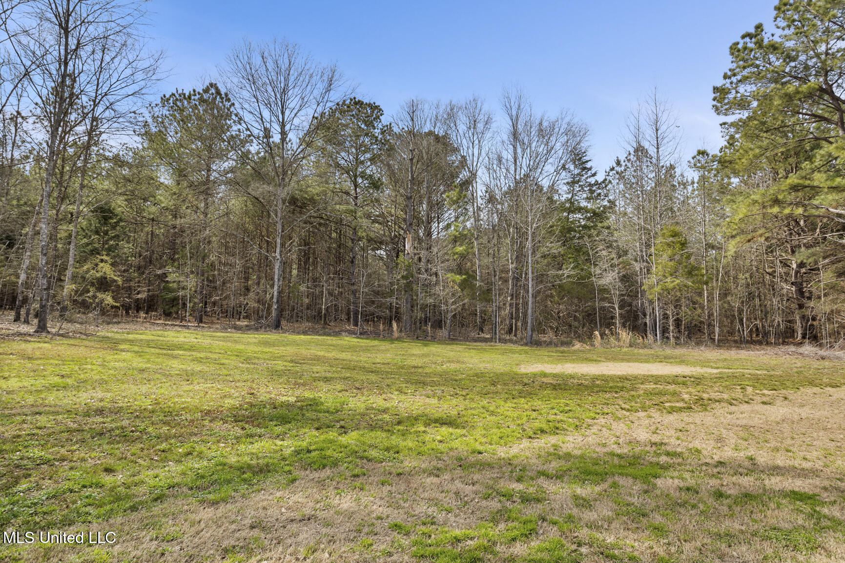 187 Moss Road, Canton, Mississippi image 25