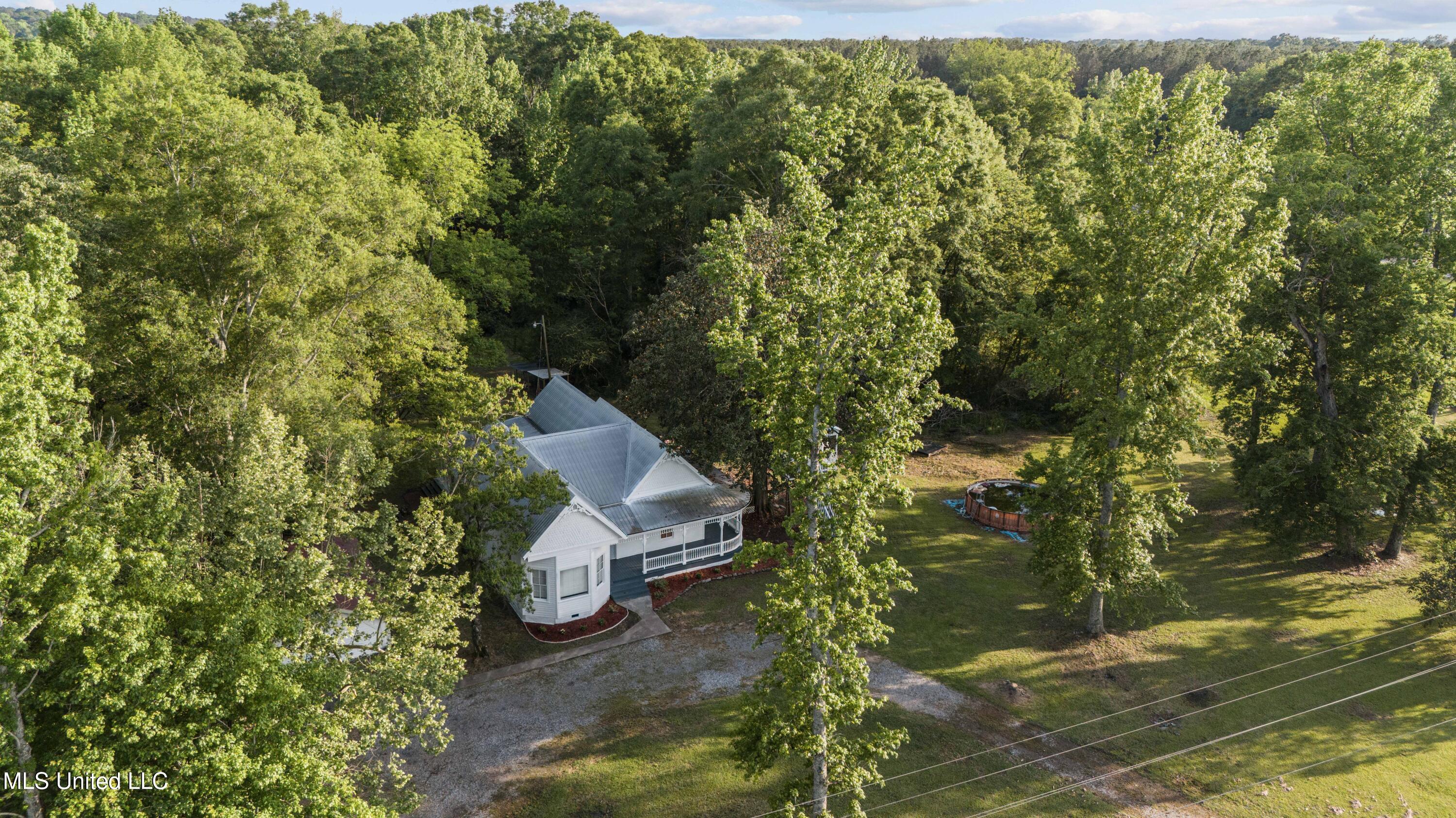5079 Morton-marathon Road, Pulaski, Mississippi image 6