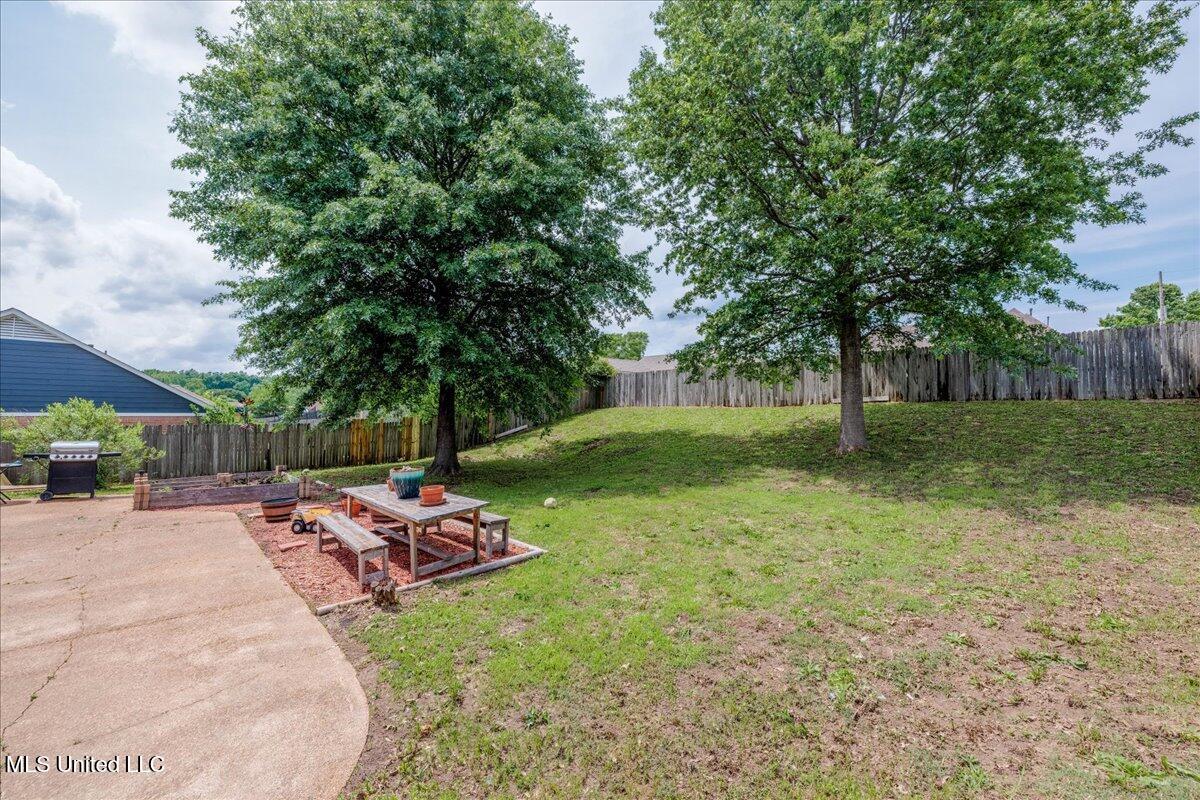 1826 Towson Lane Lane, Horn Lake, Mississippi image 23