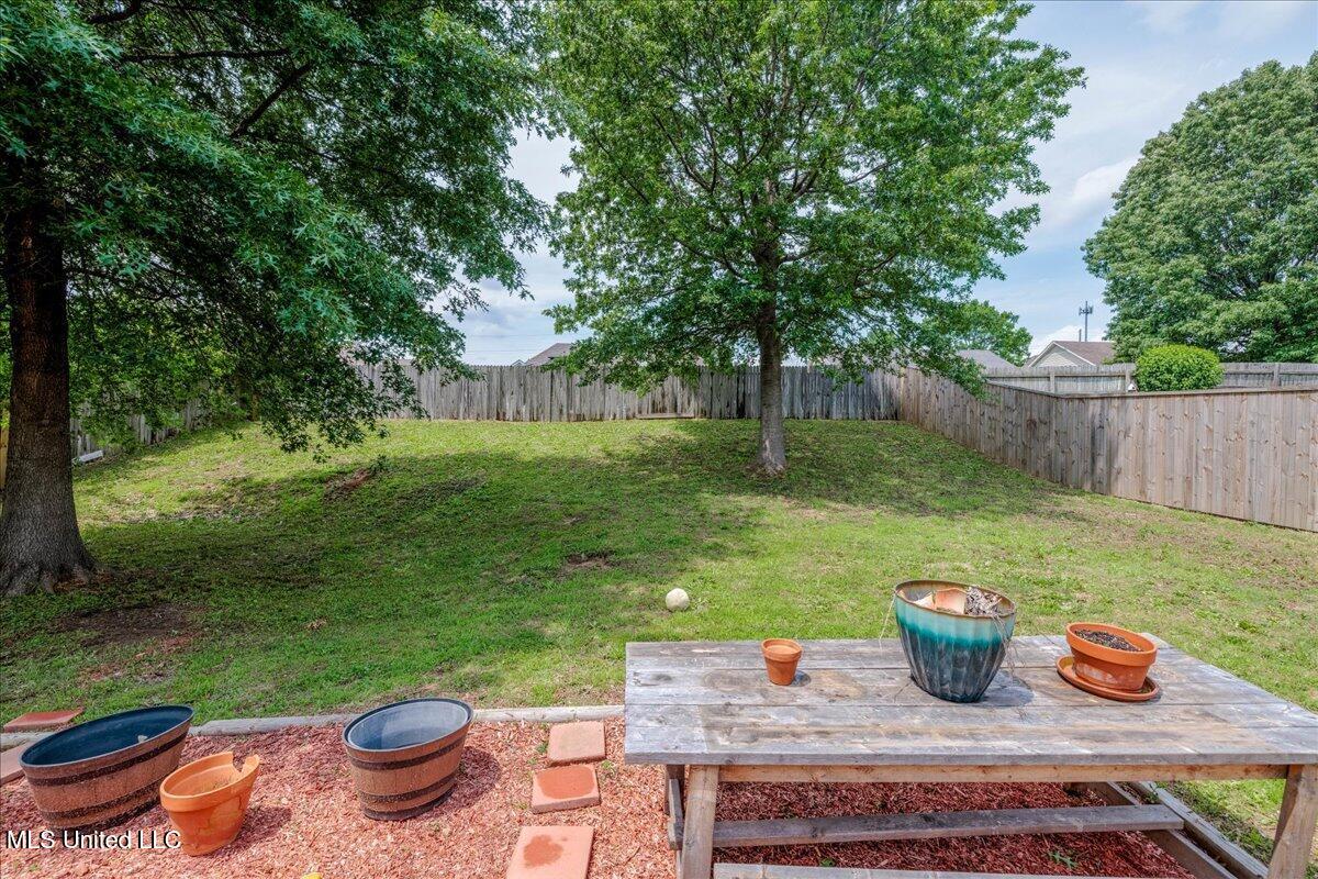 1826 Towson Lane Lane, Horn Lake, Mississippi image 24