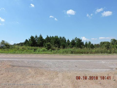 Vacant Land For Sale - Highway 51<br/> Nesbit, MS 38651
