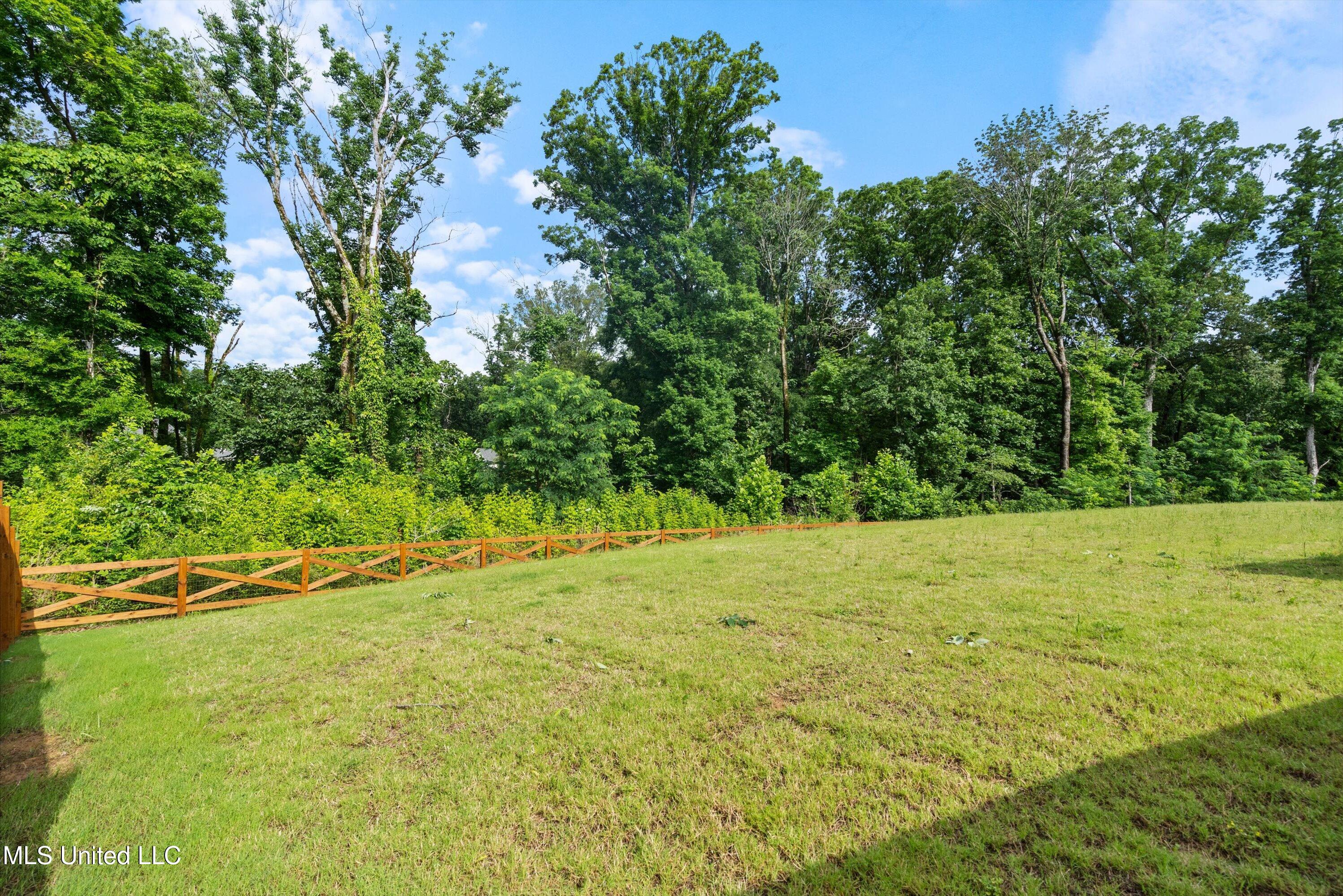 6731 Bobwhite Circle, Southaven, Mississippi image 29