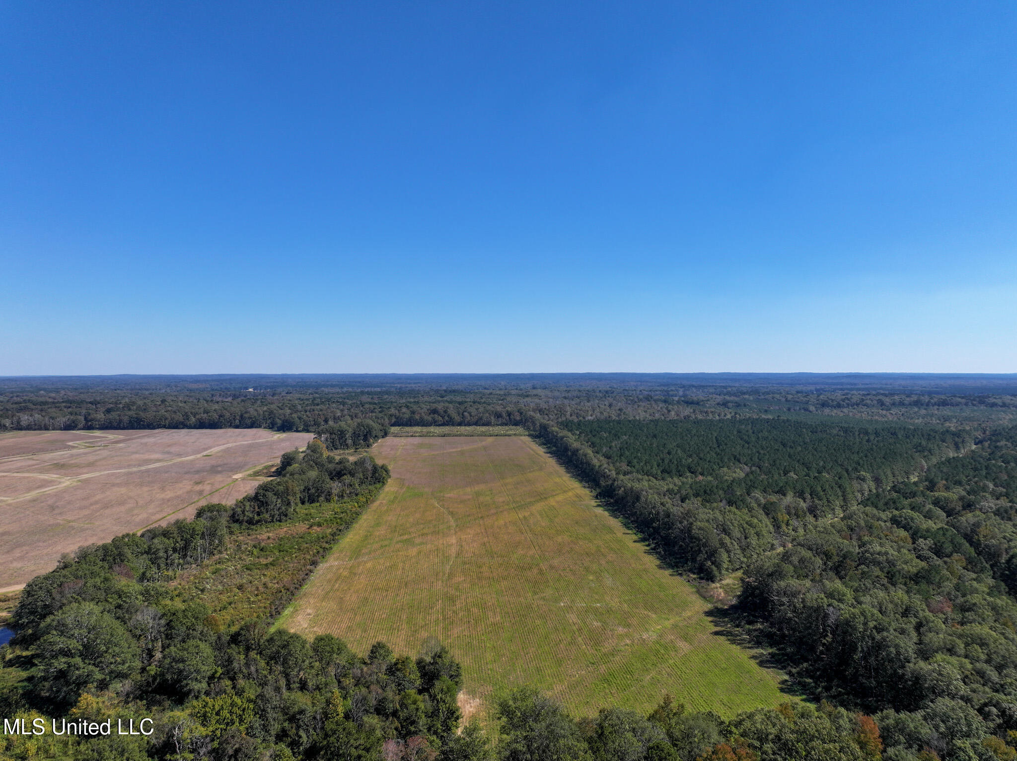 2088 Swamp Lane, Hazlehurst, Mississippi image 12