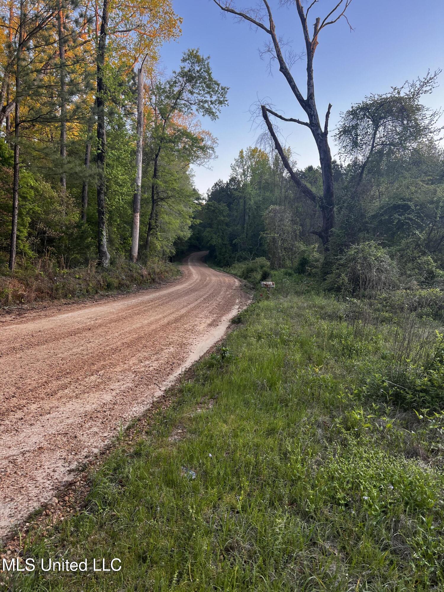1923 Attala Road, Goodman, Mississippi image 9