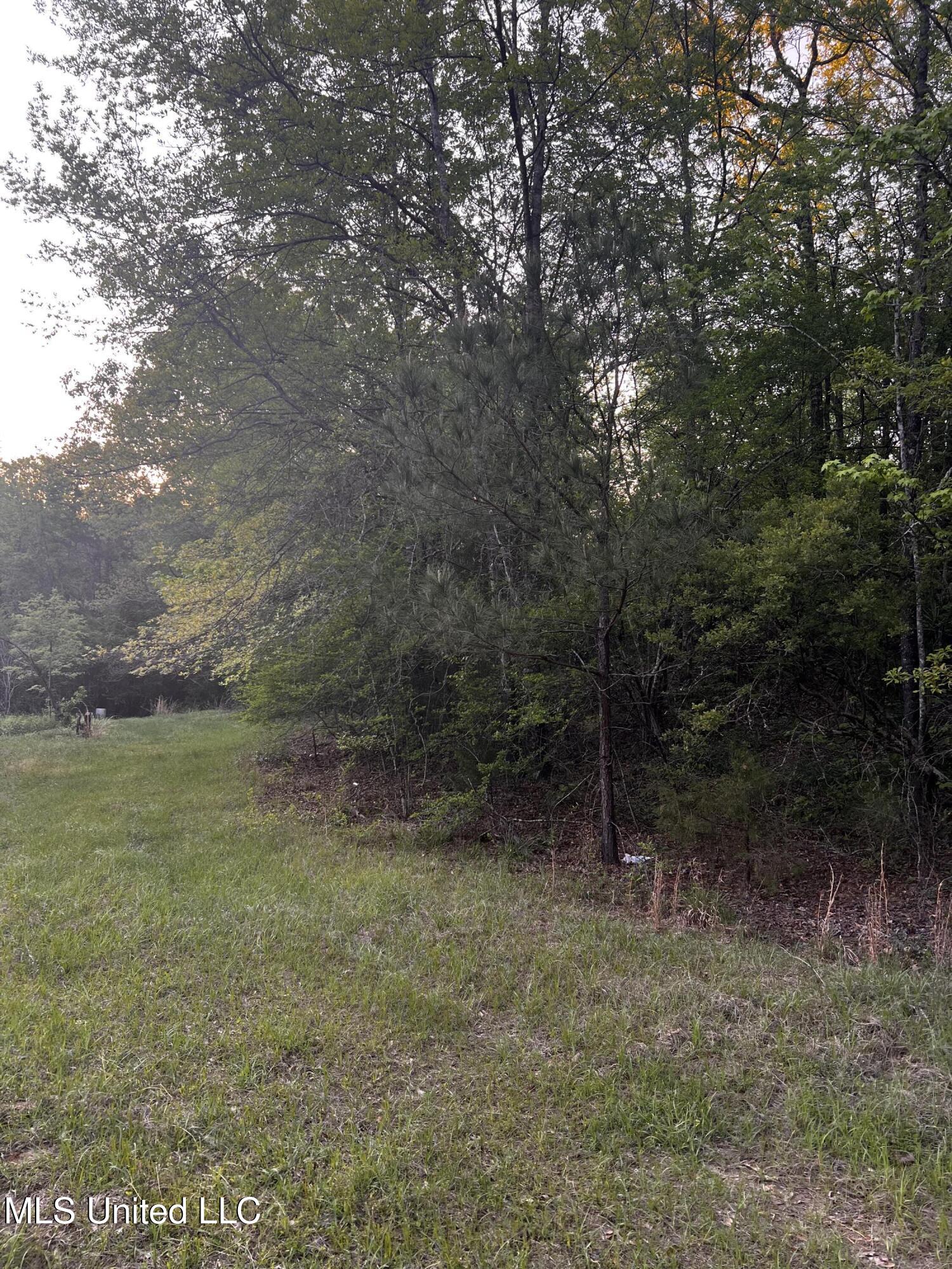 1923 Attala Road, Goodman, Mississippi image 4