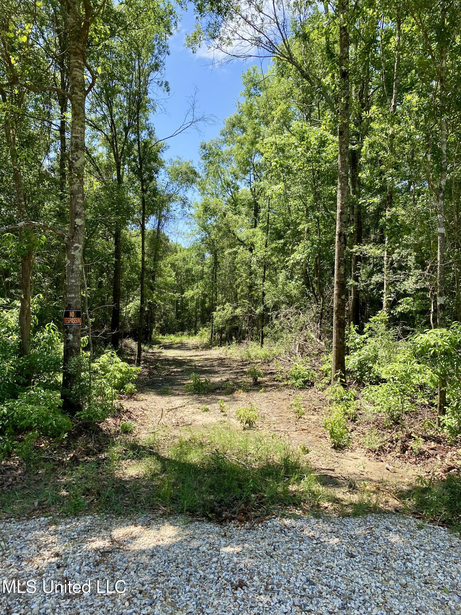 00 Otho Davis Road, Lumberton, Mississippi image 3