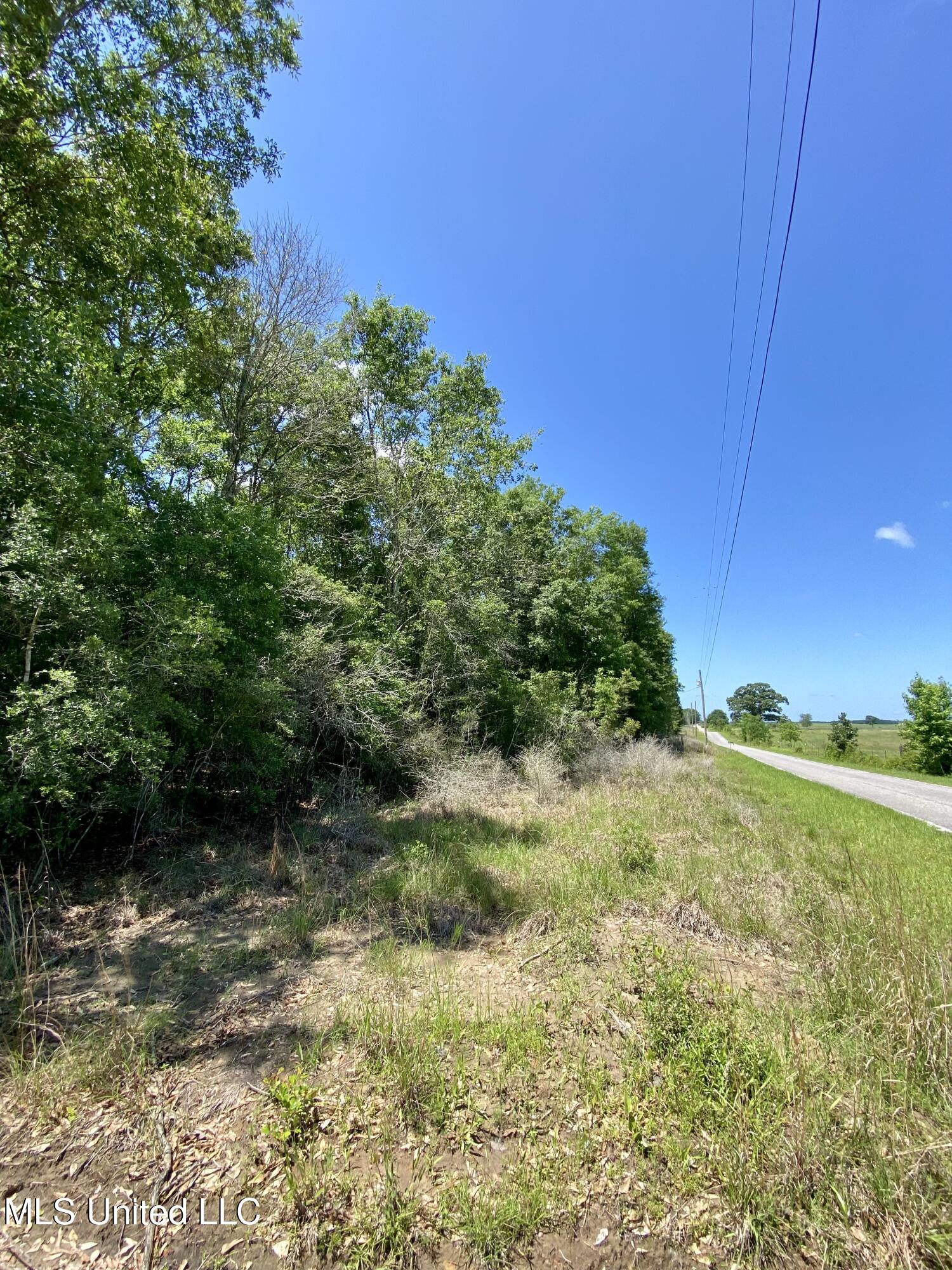 00 Otho Davis Road, Lumberton, Mississippi image 5