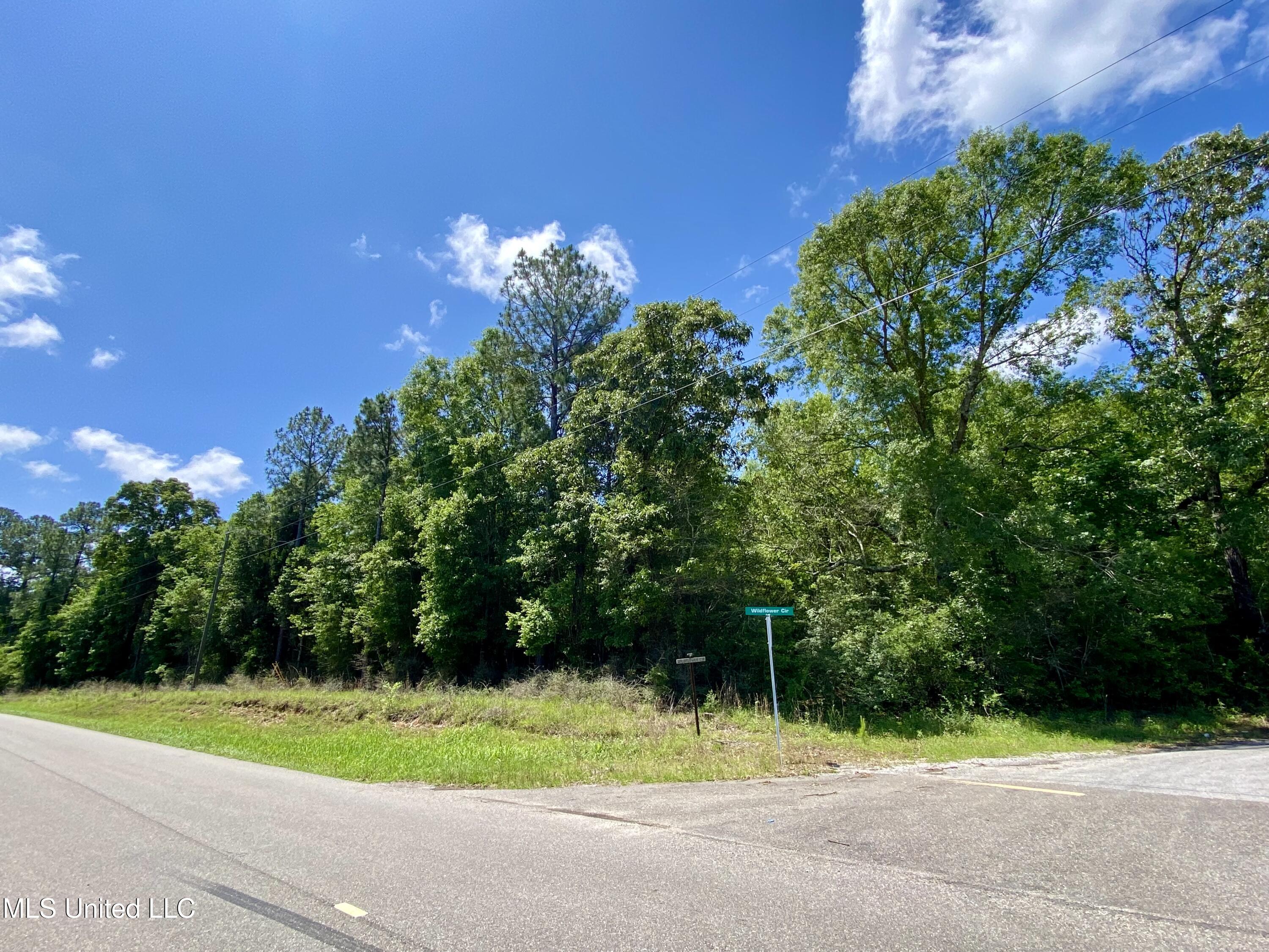 00 Otho Davis Road, Lumberton, Mississippi image 1
