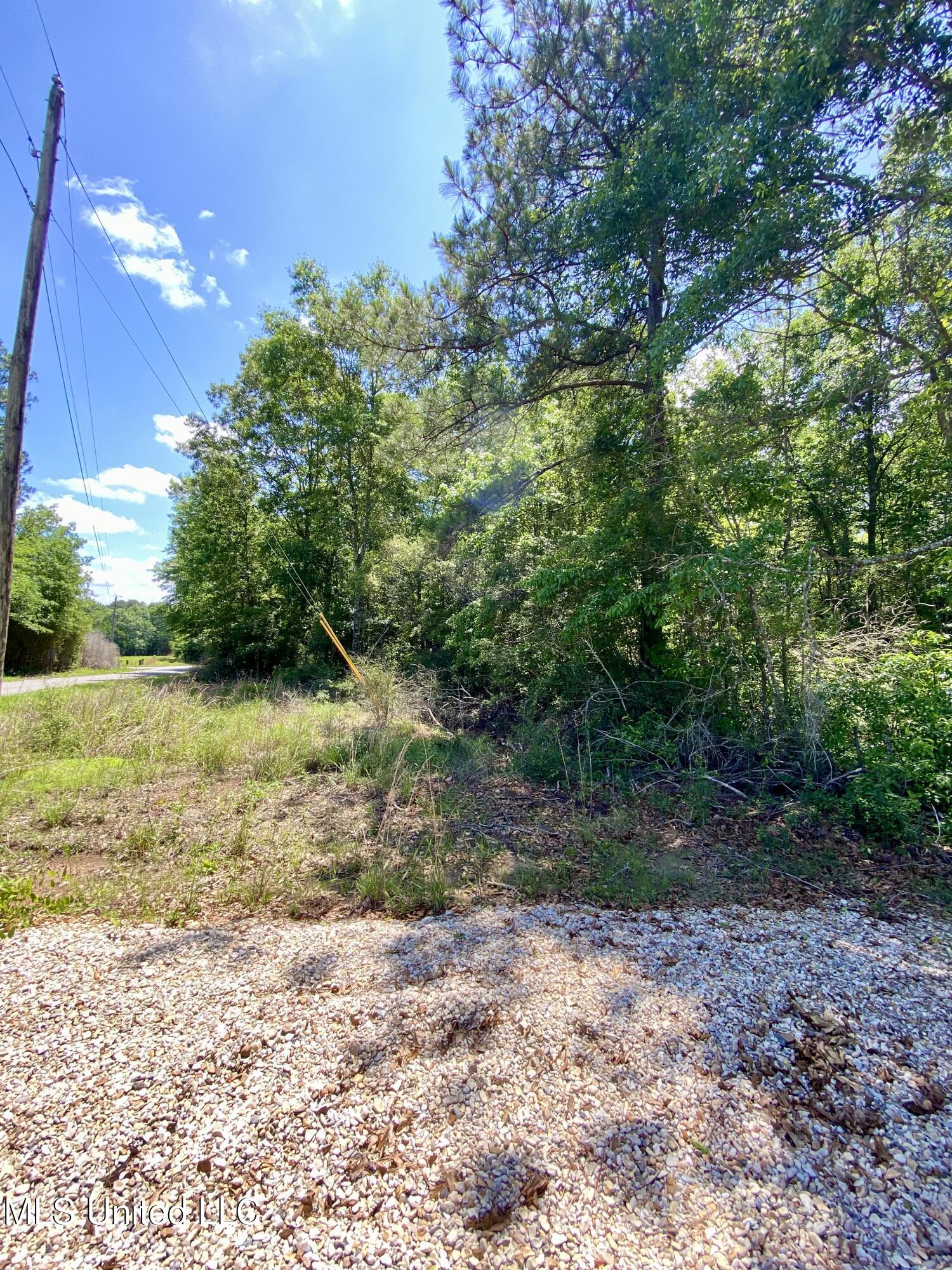 00 Otho Davis Road, Lumberton, Mississippi image 4