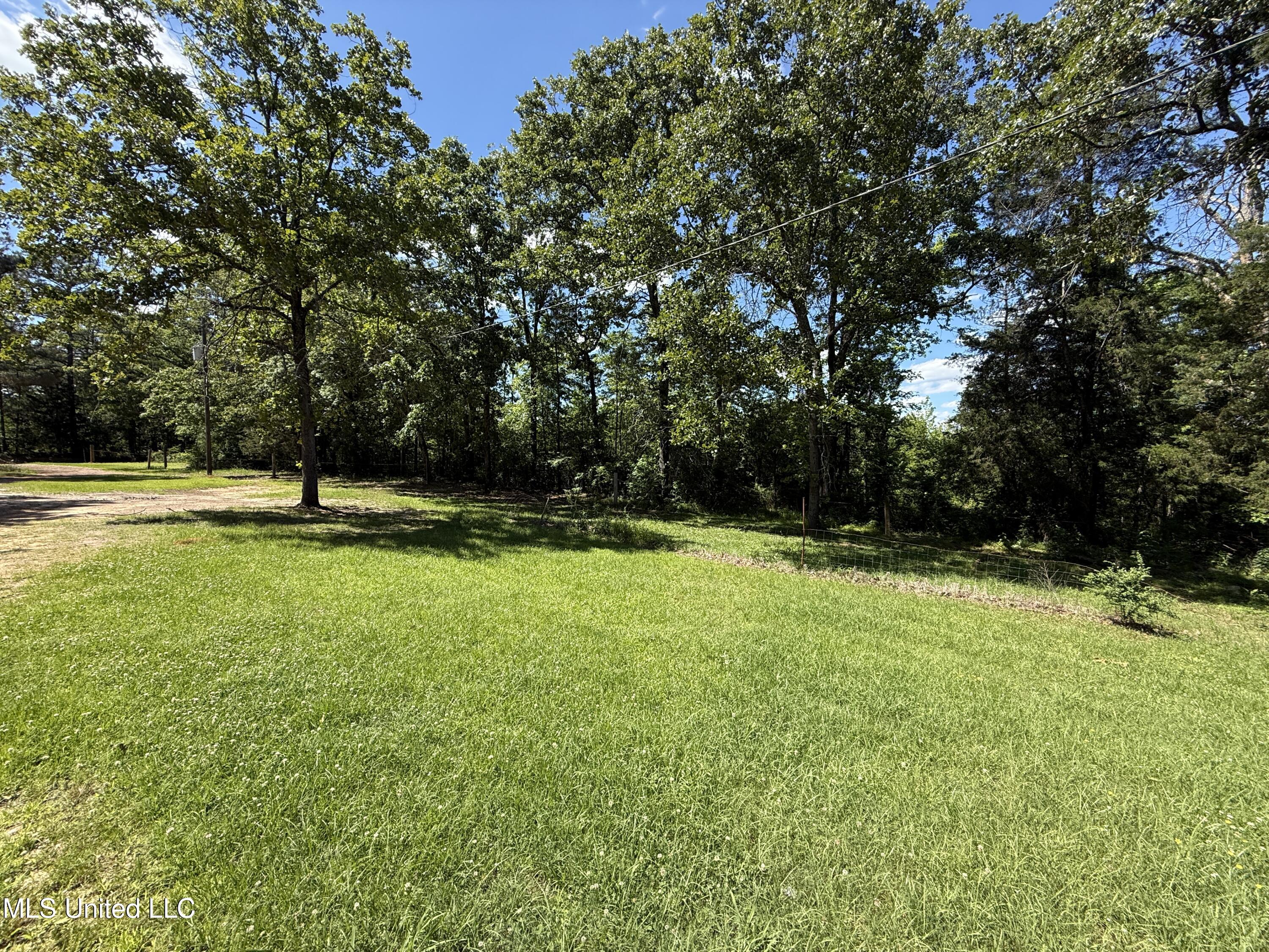 709 Melvin Leach Road, Union, Mississippi image 9