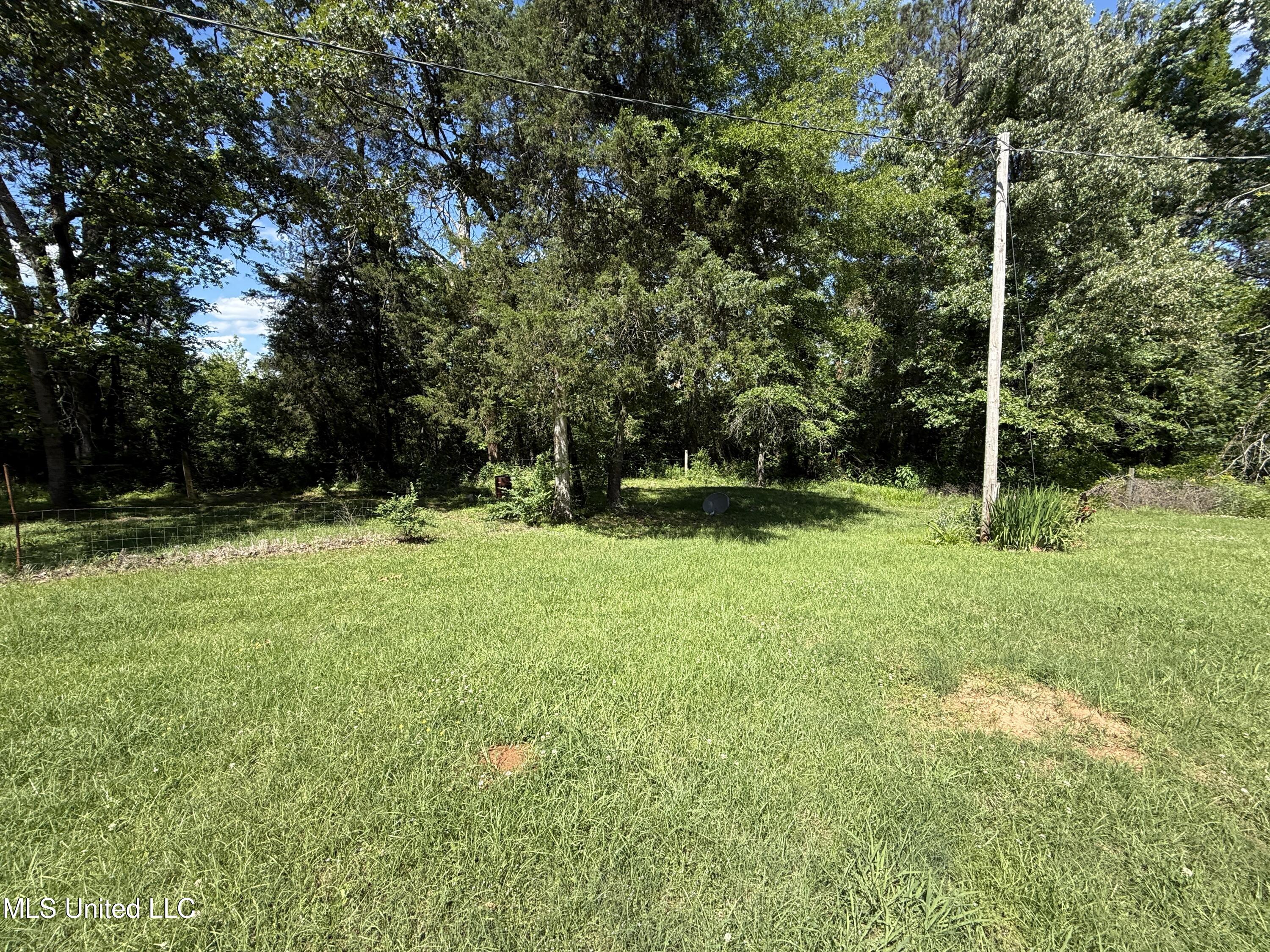 709 Melvin Leach Road, Union, Mississippi image 8