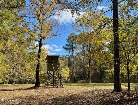 Vacant Land For Sale - 1218 Ms 9<br/> Calhoun City, MS 38916