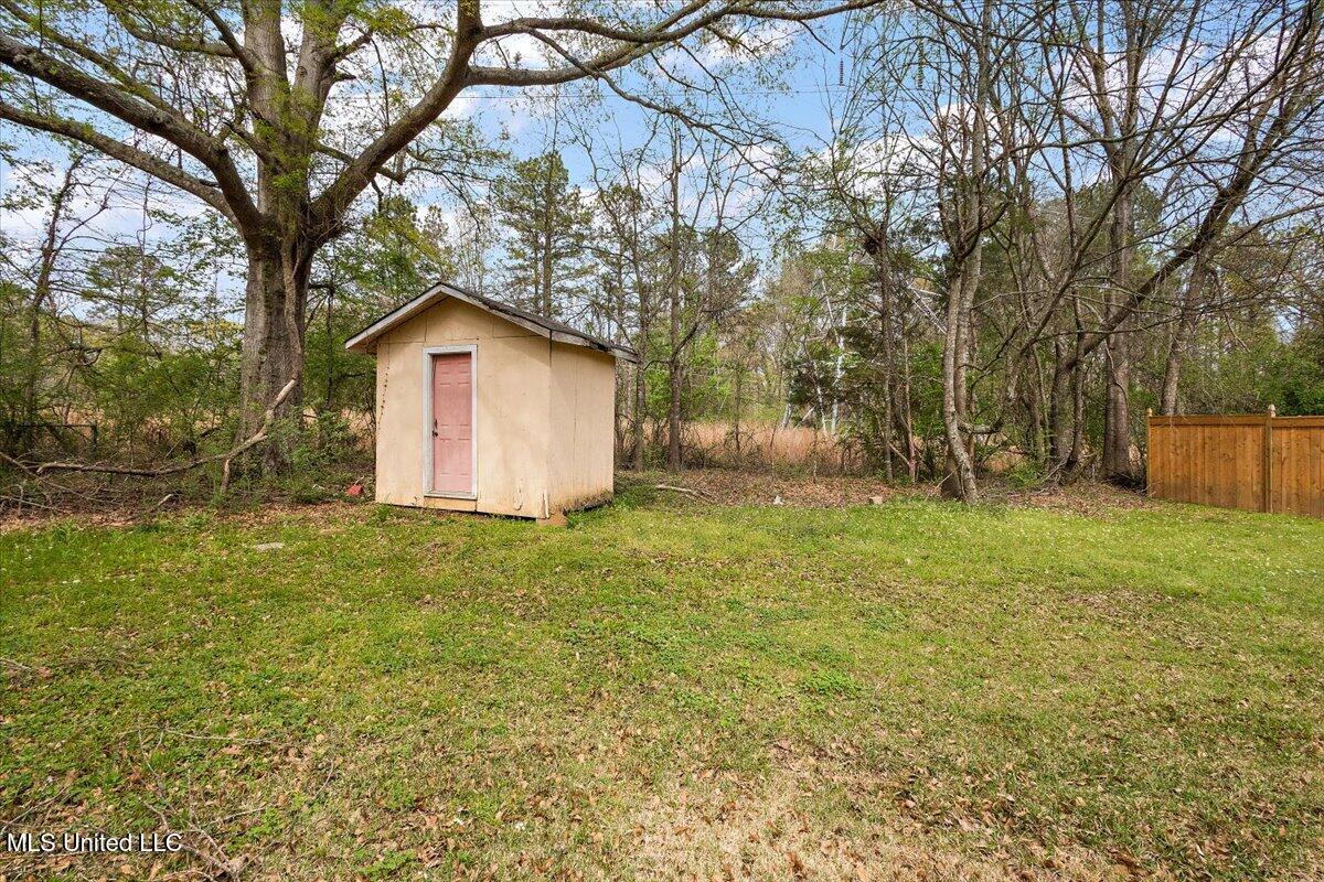 2336 Princess Pine Drive, Jackson, Mississippi image 18