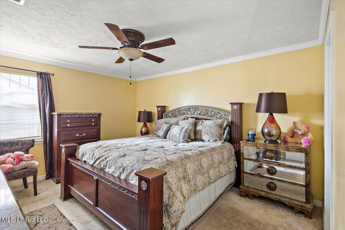 2336 Princess Pine Drive, Jackson, Mississippi image 14