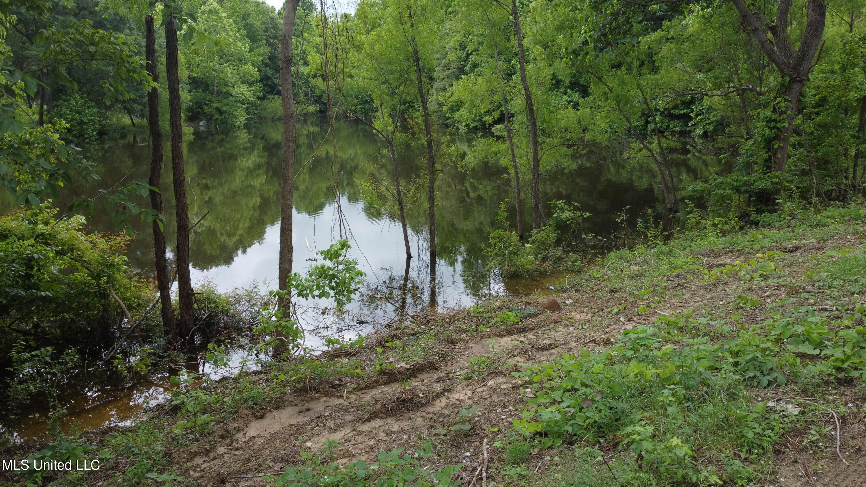 2065 Prichard Road, Coldwater, Mississippi image 9