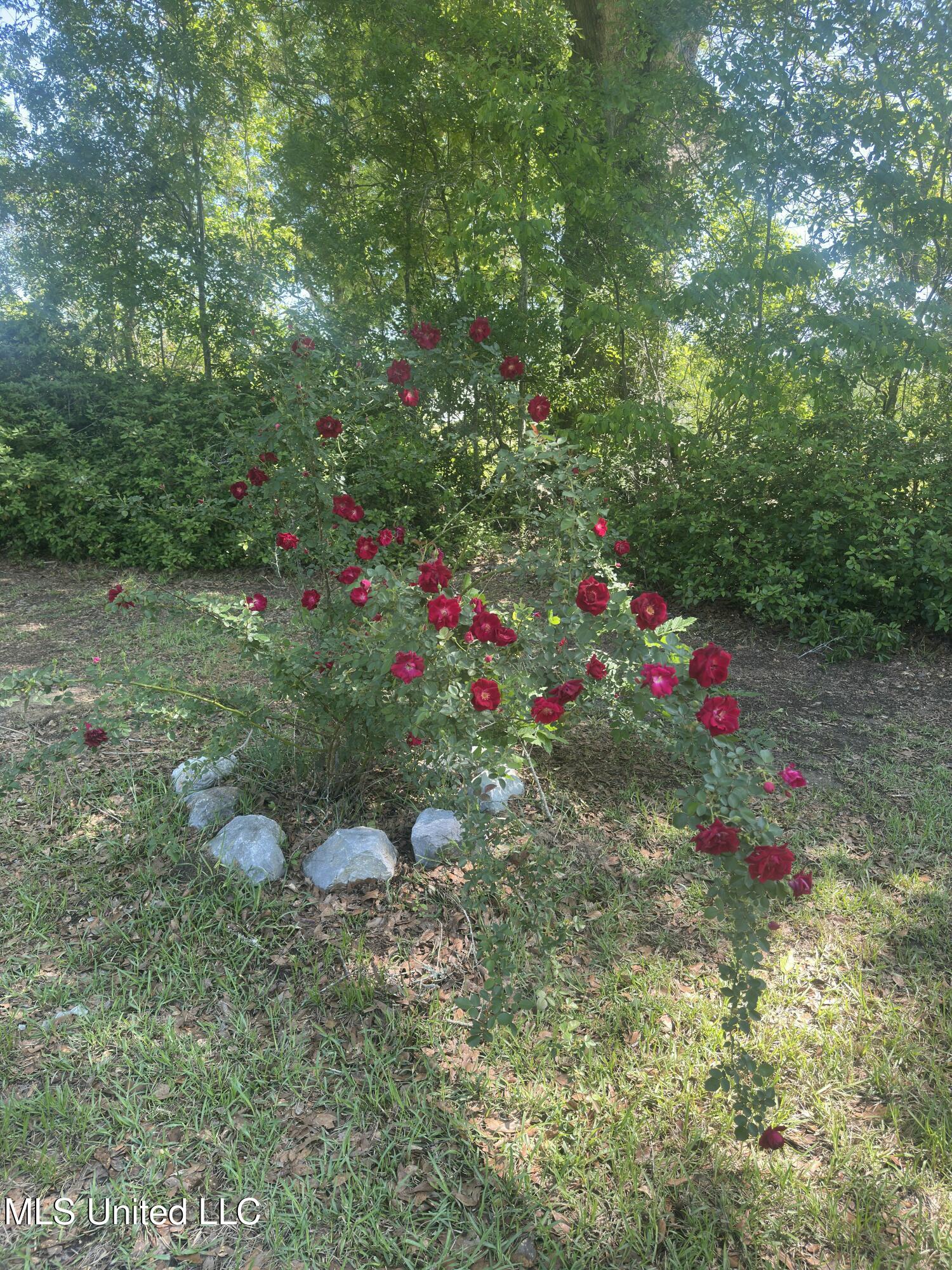 72 Mitchell Baughman Road, Poplarville, Mississippi image 11