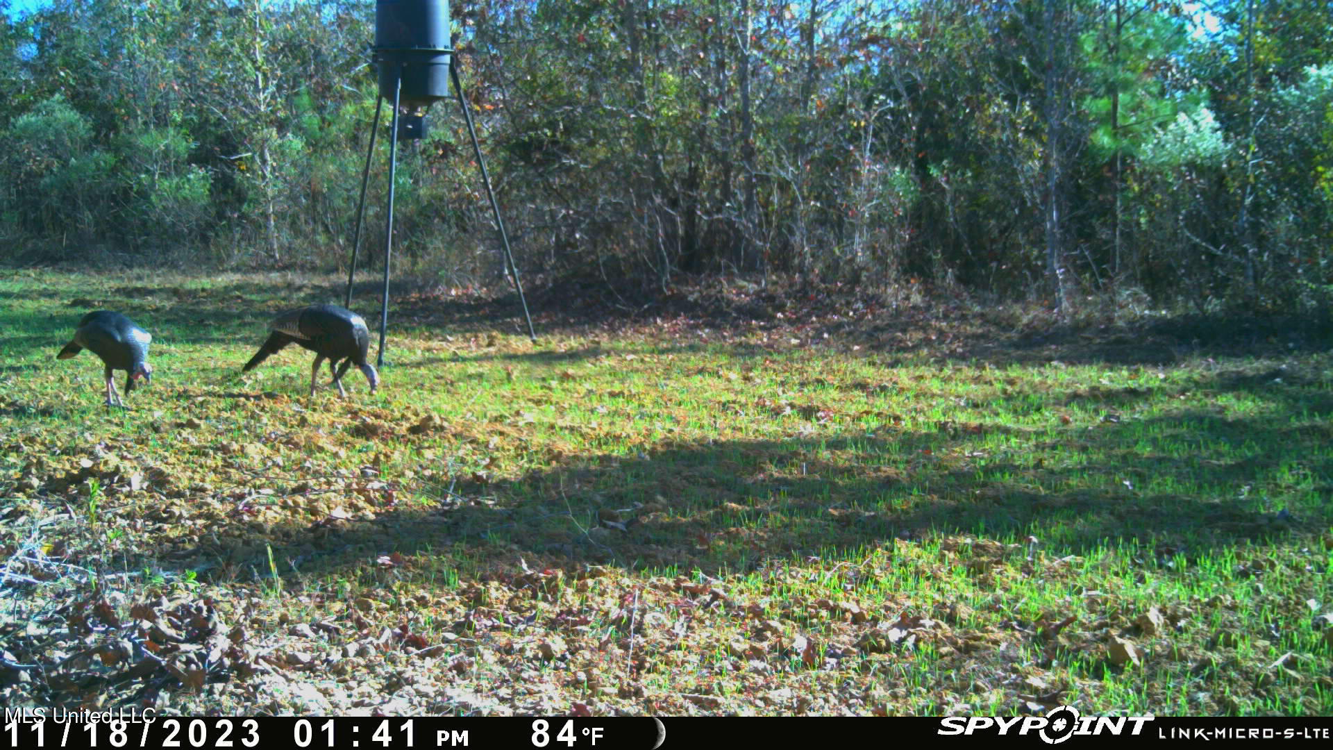 County Road 3222, Ethel, Mississippi image 19