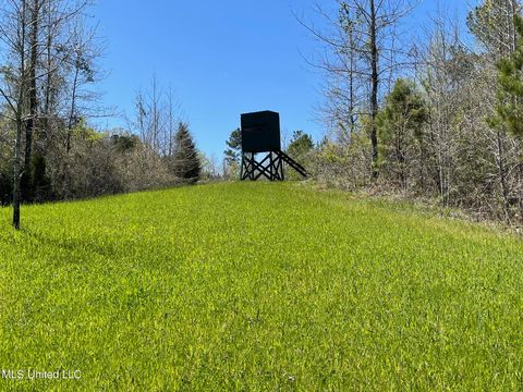Vacant Land For Sale - County Road 3222<br/> Ethel, MS 39067