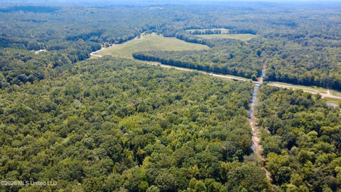 Vacant Land For Sale - Highway 407<br/> Kilmichael, MS 39747