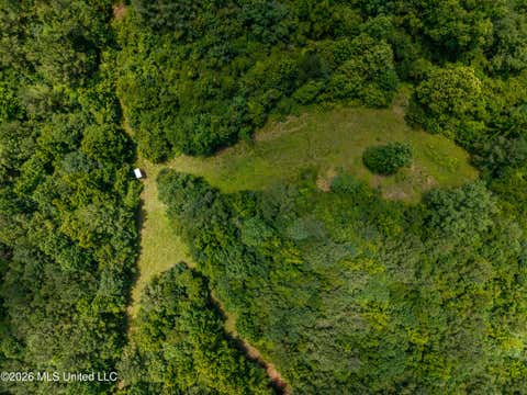 Vacant Land For Sale - N Jones Lane<br/> Carthage, MS 39051